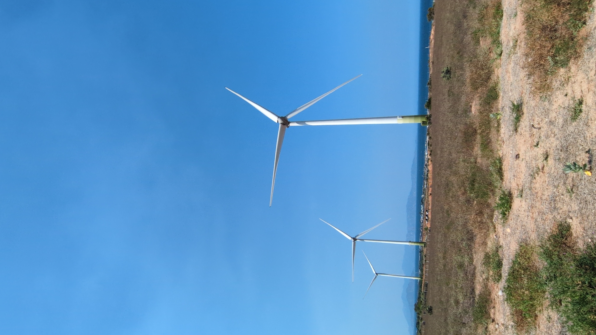 The image shows three wind turbines on a grassy hillside in Phuoc Dinh, Vietnam. The sky is clear and blue. The turbines are white, with green bands at the base of the largest turbine's tower. The ground is covered in dry grass and dirt. The sea is visible in the distance.