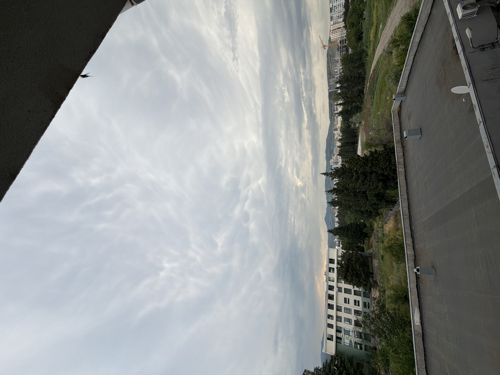 The image depicts a cloudy sky over a cityscape in Tbilisi, Georgia. In the foreground, a dark, flat rooftop is visible, equipped with ventilation pipes and a satellite dish. Beyond the rooftop, a modern white building with numerous windows is situated, surrounded by greenery and trees. Further in the distance, more buildings, a construction crane, and rolling hills form the urban landscape. The sky is characterized by textured, grey clouds.