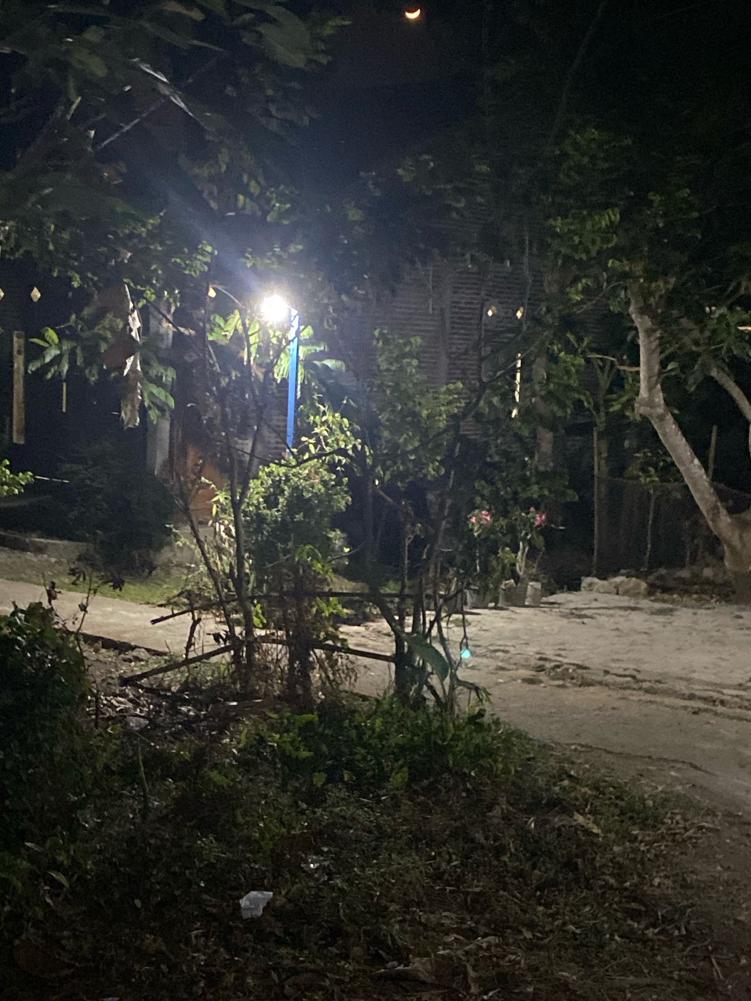 The image depicts a nighttime scene in Planjan, Indonesia. A street light illuminates a path and surrounding vegetation. In the background, a building with a textured wall and some lights is visible. Above the trees, a sliver of the moon is present in the dark sky. The foreground shows dense foliage and the ground is covered with dirt and some debris, including a crumpled white piece of paper. The overall impression is of a rural or semi-rural area at night, with artificial lighting from the street lamp casting shadows and highlighting the textures of the environment.