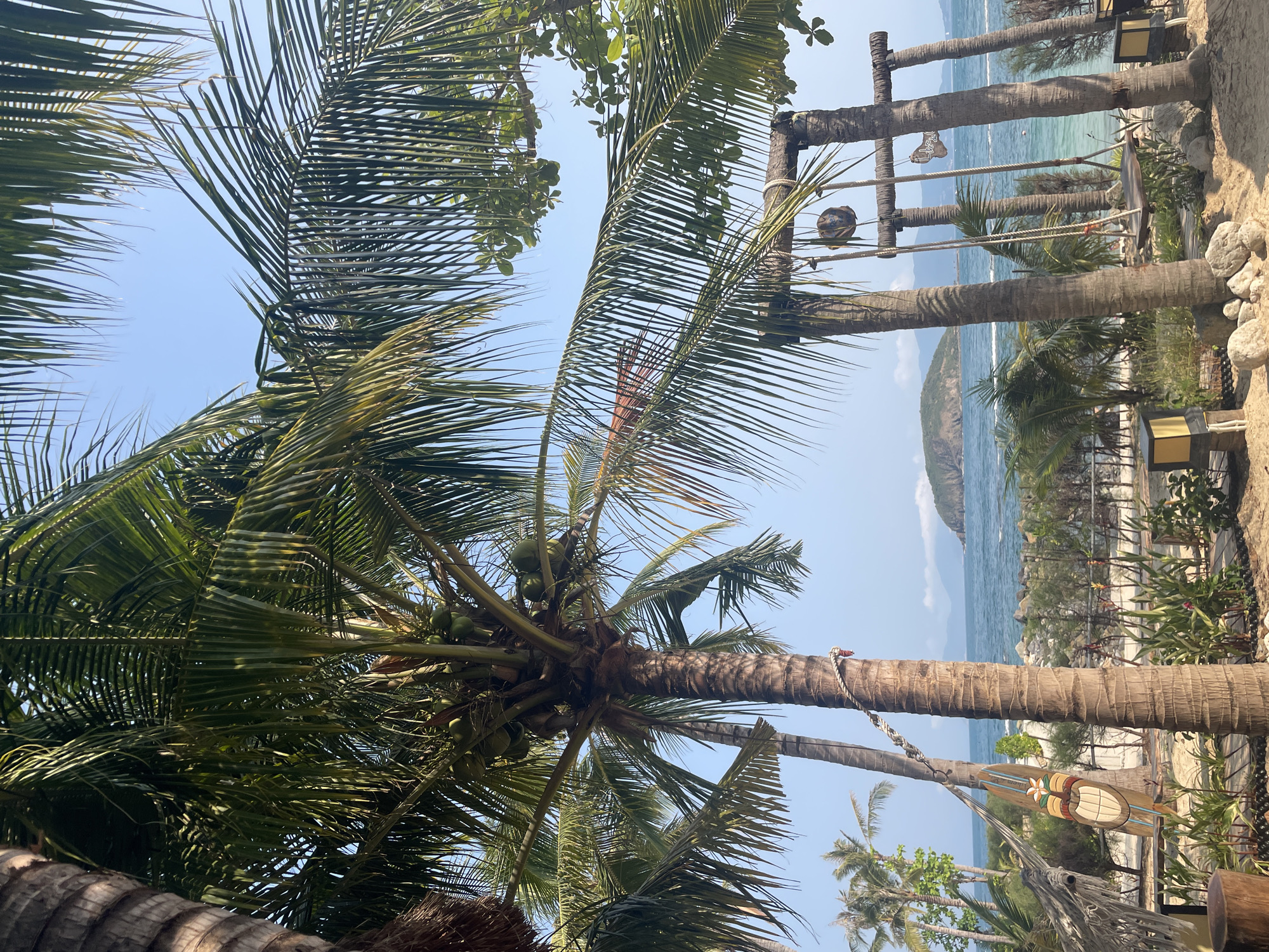 The image, likely taken at Bac Natural Heritage Area Trang, Vietnam, showcases a tropical beach scene. Several palm trees with coconuts are prominent, partially obstructing a view of the ocean and a distant island. A wooden structure, likely a decorative element or a beach bar, is situated near the shore. The sky is clear and blue.