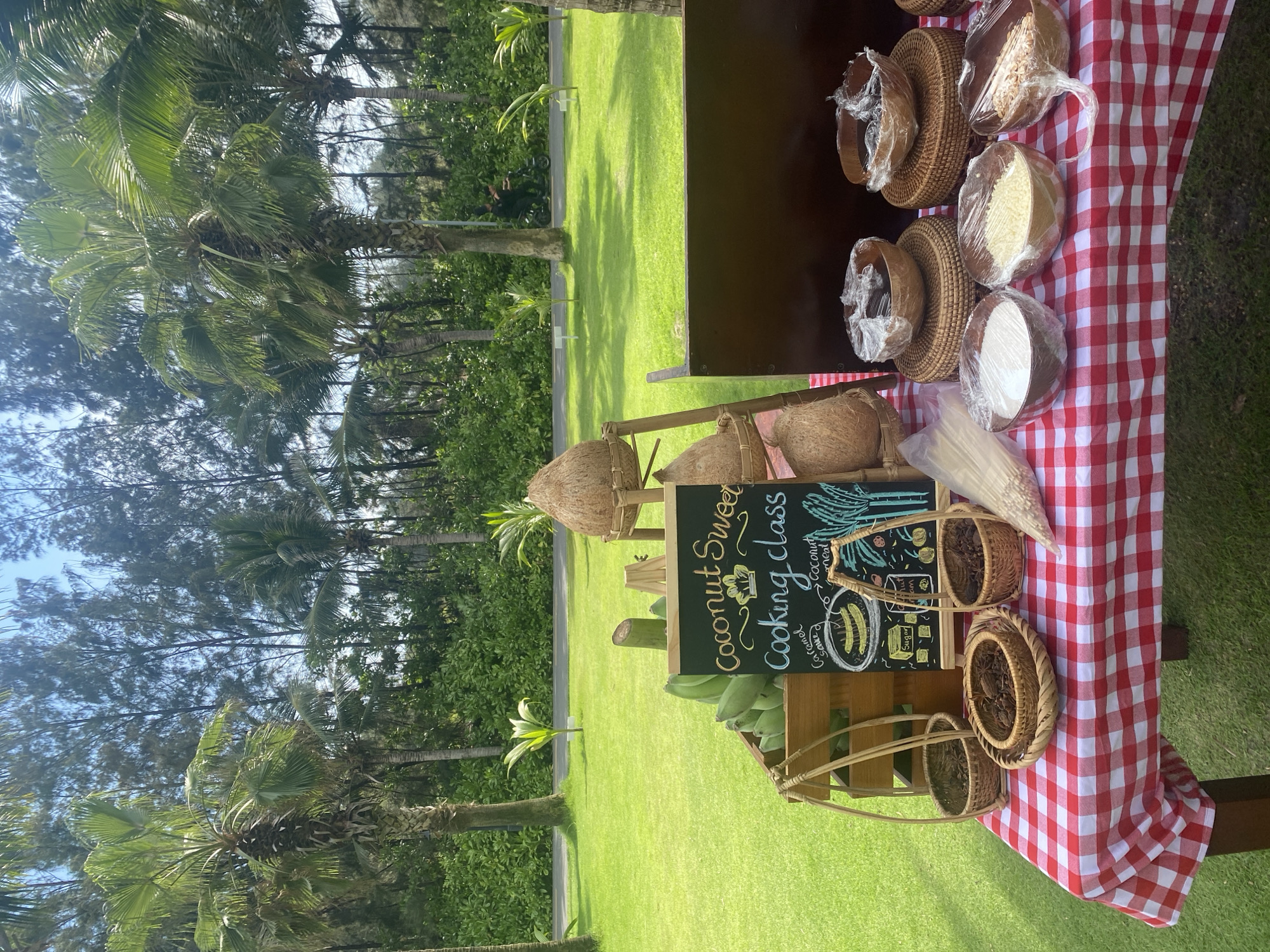 Here's a description of the image:
The image shows a table set up outdoors in Bac Cam Ranh Ward, Vietnam. The table is covered with a red and white checkered tablecloth. On the table are several items related to a "Coconut Sweet Cooking Class," as indicated by a chalkboard sign. There are coconuts, bowls with ingredients (some wrapped in plastic), and baskets containing spices. In the background is a green lawn with palm trees and other vegetation.