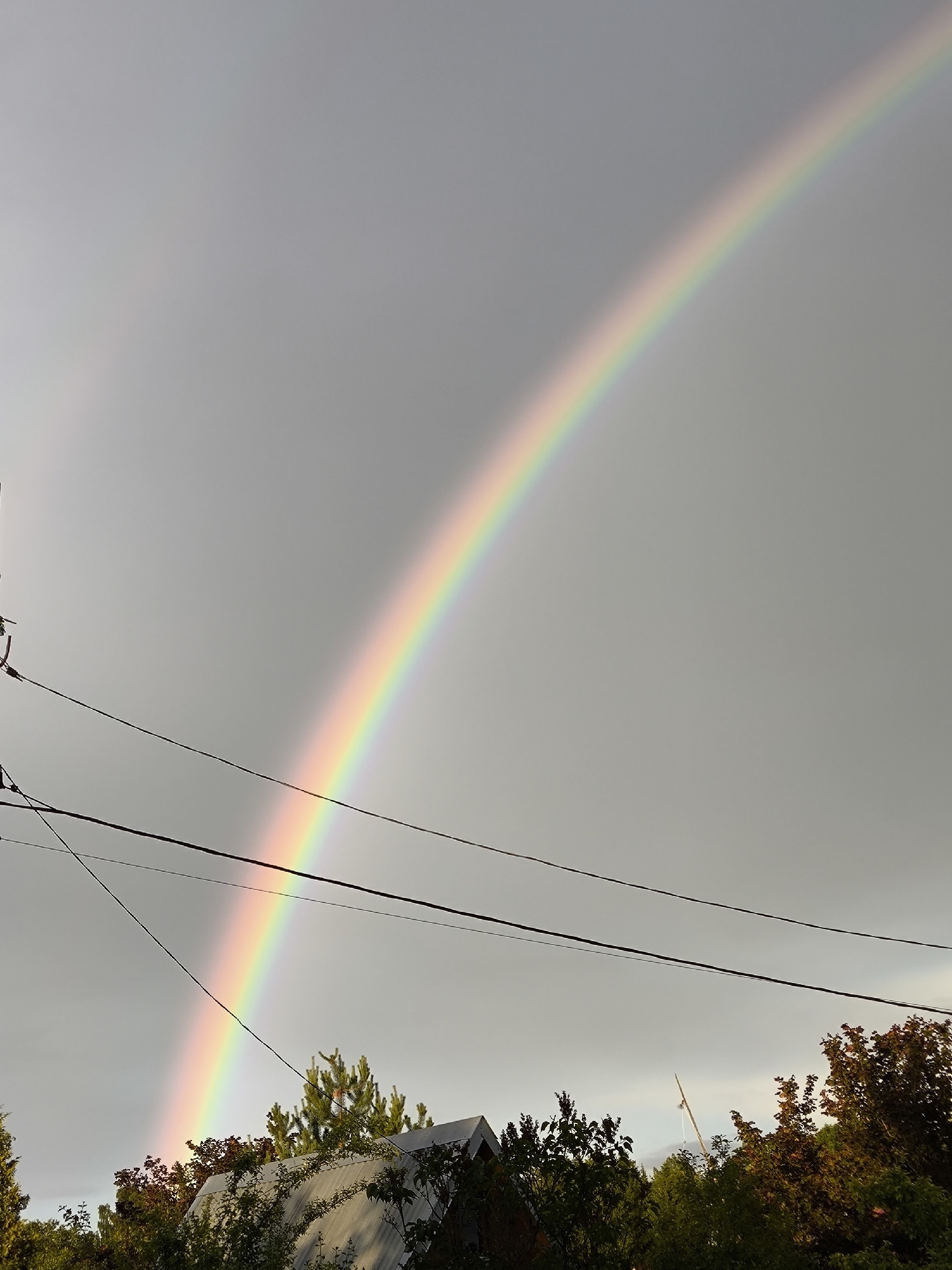 A double rainbow arcs across a gray, overcast sky above a residential area. The primary rainbow is vibrant, displaying the full spectrum of colors, while a fainter secondary rainbow is visible above it. In the foreground, power lines are strung horizontally across the frame, with a utility pole visible on the left. Below the sky and power lines, the rooftops of several buildings and the tops of trees are visible, suggesting a suburban or rural setting. The scene appears to be captured in the afternoon or early evening, judging by the quality of light.