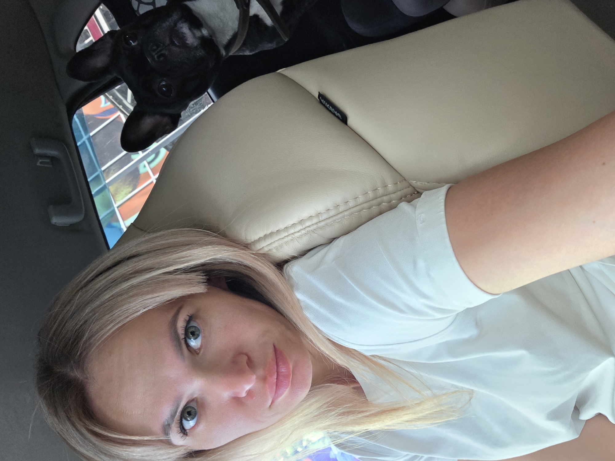 In a car, a woman with blonde hair is taking a selfie with her French bulldog. The woman is wearing a white t-shirt and has light-colored eyes. The dog is black and white and looks directly at the camera. The car's interior is visible, with a beige leather seat. Outside the window, there appears to be a colorful mural. The scene is lit by daylight.
