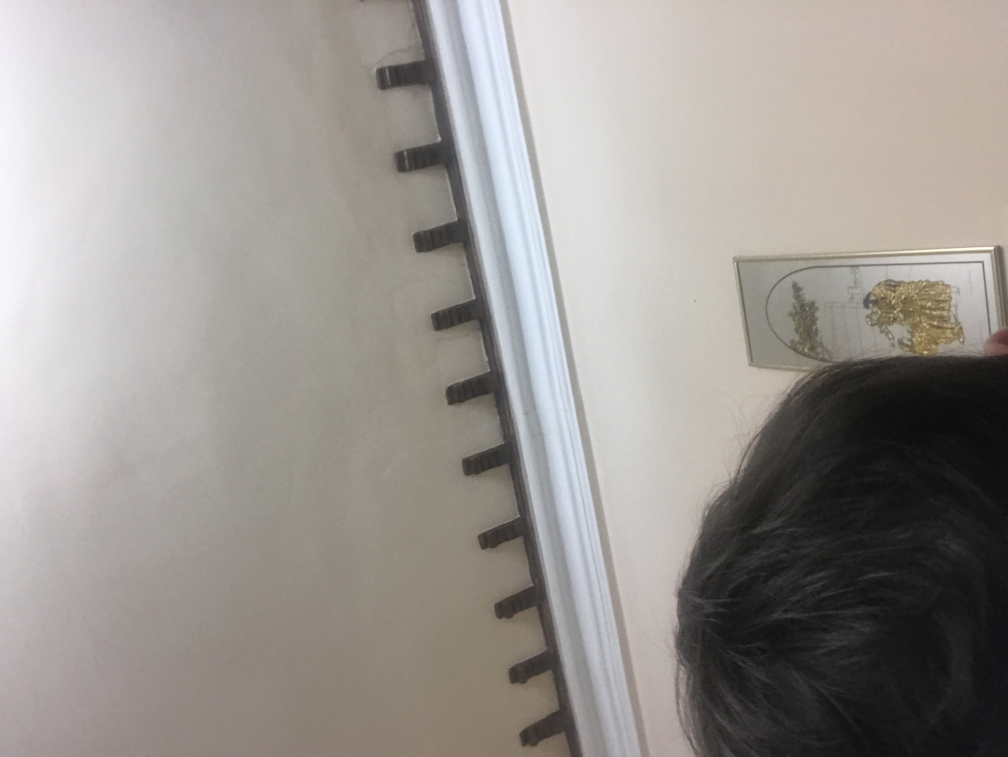 The image shows a section of a wall, with a white decorative molding featuring regularly spaced, dark protrusions. A framed picture, displaying a golden-colored, possibly religious, image, is mounted on the wall. Part of a person's dark hair is visible in the lower right corner of the frame. The location is not discernible from the given image.