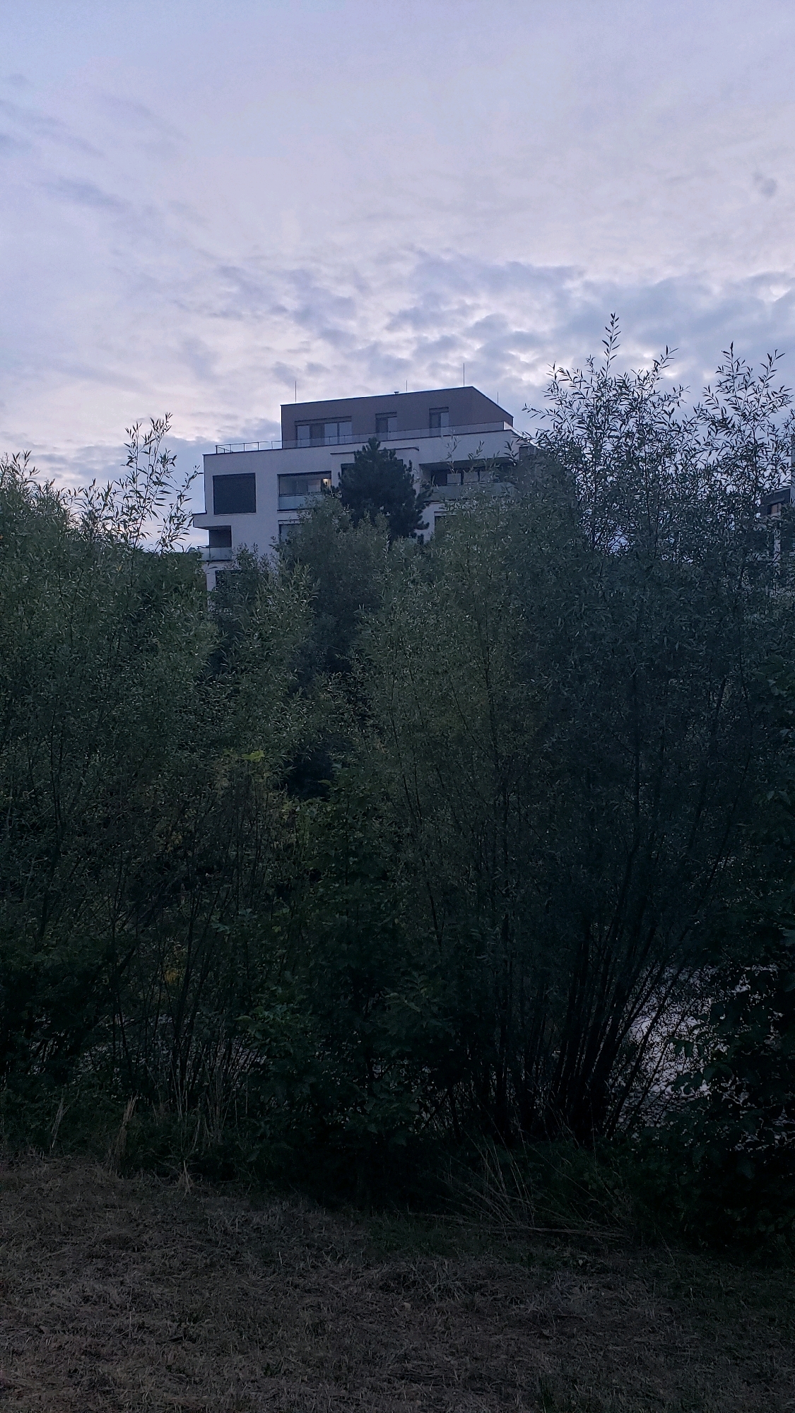 The image depicts a contemporary apartment building nestled behind dense foliage, likely in a park-like setting within the city of Prešov, Slovakia. The building, characterized by its clean lines and multi-story design with balconies and dark-framed windows, is partially obscured by numerous trees and bushes. The vegetation is a mix of lush green trees and smaller shrubs, with some dry grass or straw covering the ground in the foreground, suggesting either a natural area or a managed park. The sky above is overcast with diffused clouds, hinting at twilight or a generally gloomy day. There are no people or visible activity in the scene.