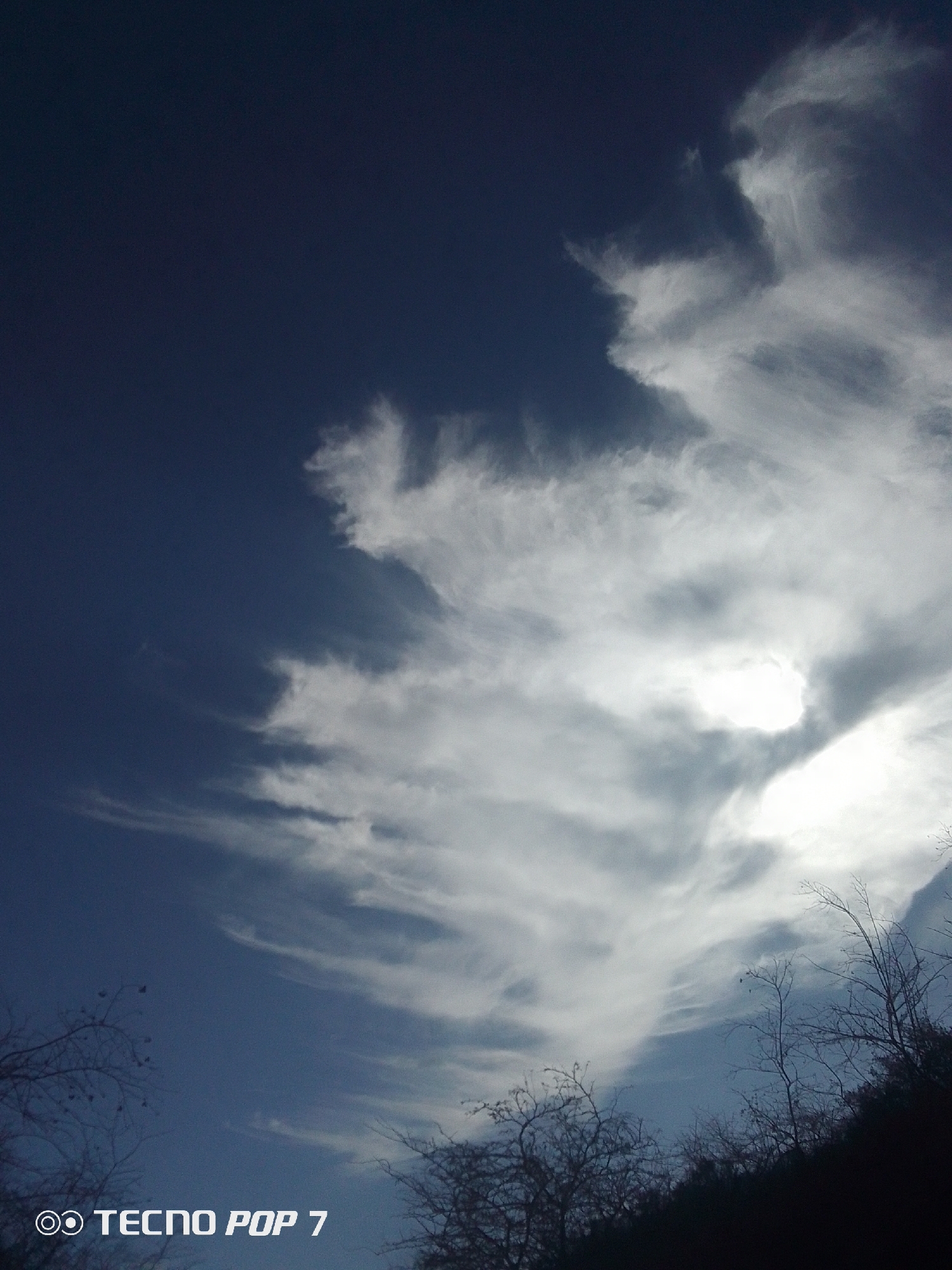 The image shows a view of the sky, with the sky taking up most of the image. The sky is a mix of deep blue and areas filled with white, wispy clouds. The clouds are concentrated in the upper right and central portions of the image, fading towards the left and bottom. The sun appears to be behind some of the clouds, creating a bright, diffused light. At the bottom of the image, there is a dark mass of trees and branches silhouetted against the lighter sky. The lower left and right corners have the sparse branches of trees or bushes. "TECNO POP 7" is printed in white text in the bottom left corner of the image.
The location of the image in the city of Altagracia, Venezuela, is unknown, this cannot be determined from the image. There are no people, subjects, objects, actions, or interactions visible to determine a concise location.