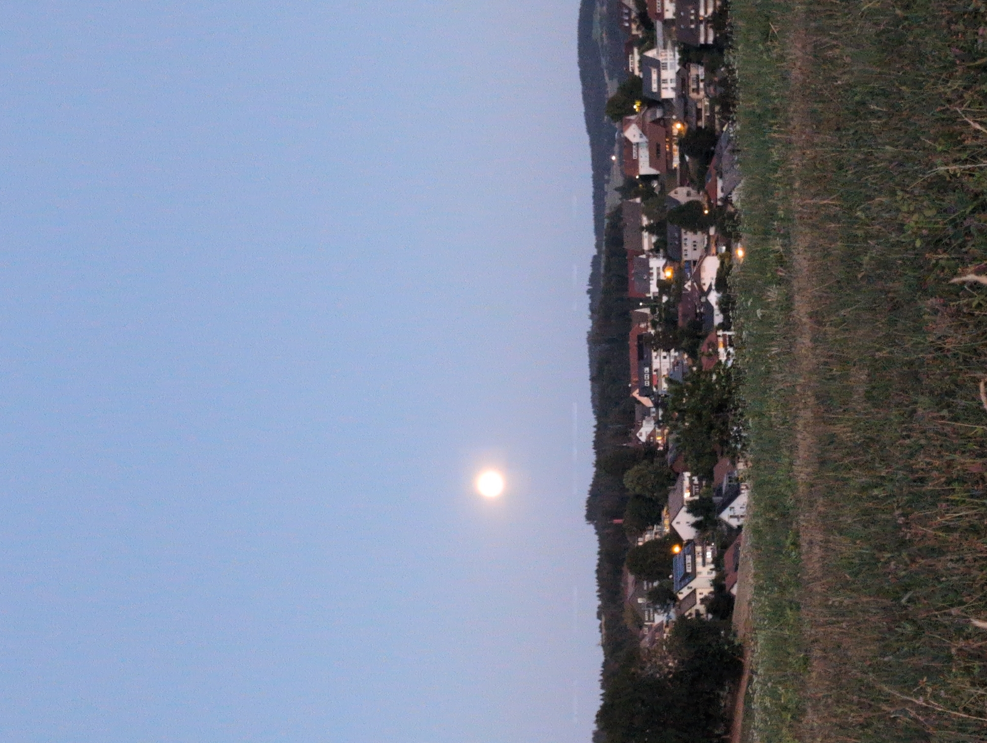 This is a vertical, full shot of the town of St. Peter, Germany, under a twilight sky with a bright full moon. The foreground is dominated by a field of tall, dry grass with a few stray wildflowers. Behind the field, the roofs of houses are visible, nestled on a hillside. The houses are of various sizes and colors, with some displaying lit windows. A dark line of trees separates the houses from the background hills. The moon is a prominent, luminous orb in the upper left quadrant of the sky, casting a soft glow. The overall scene evokes a peaceful evening in a rural German town.