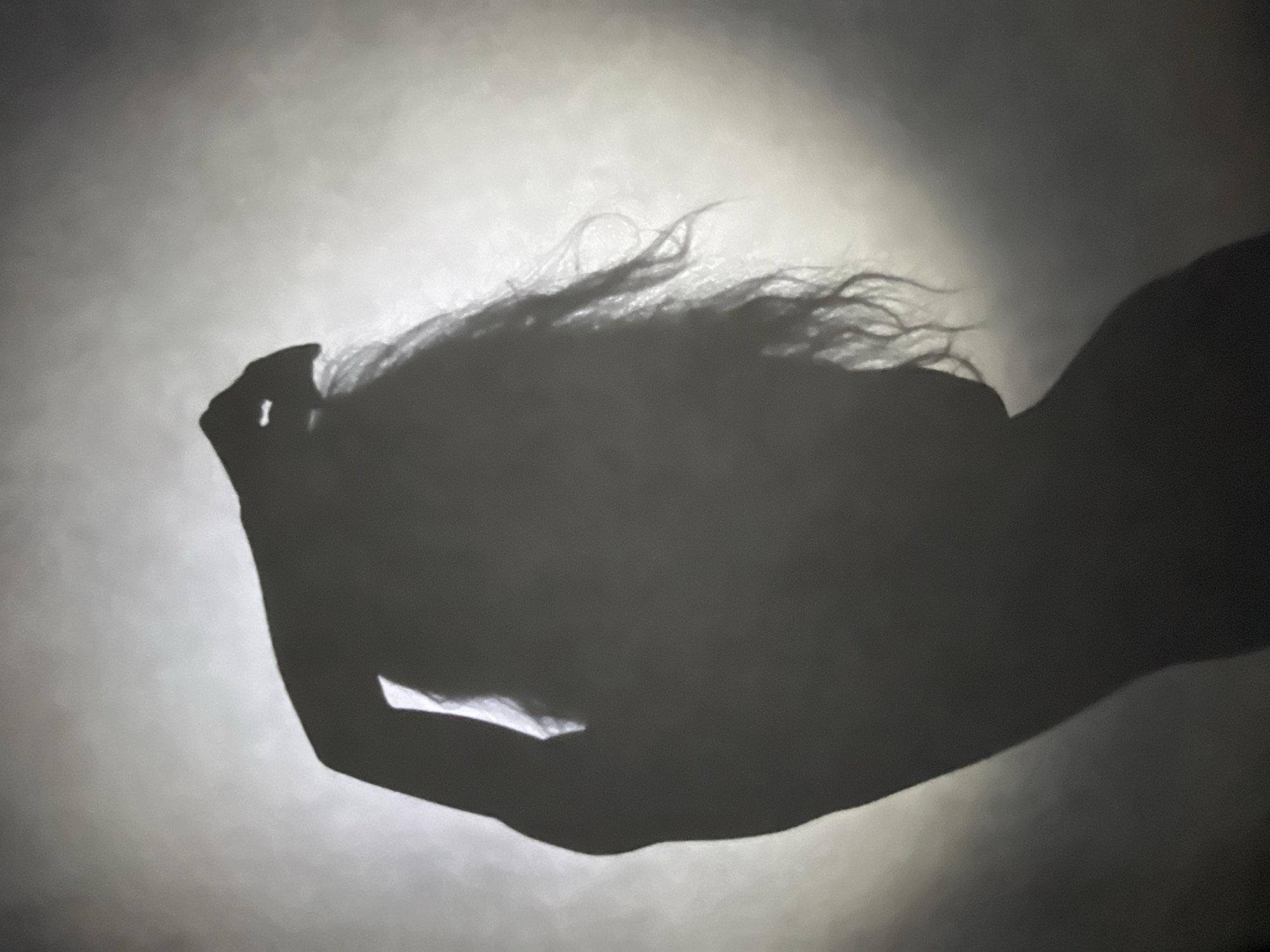 The image shows a dark silhouette of a person with long hair, apparently running their hand through their hair. The background is a gradient of light to dark, suggesting a light source behind the subject. There is no information in the image to suggest this image has any connection with the city of Chaikovsky, Russia.
