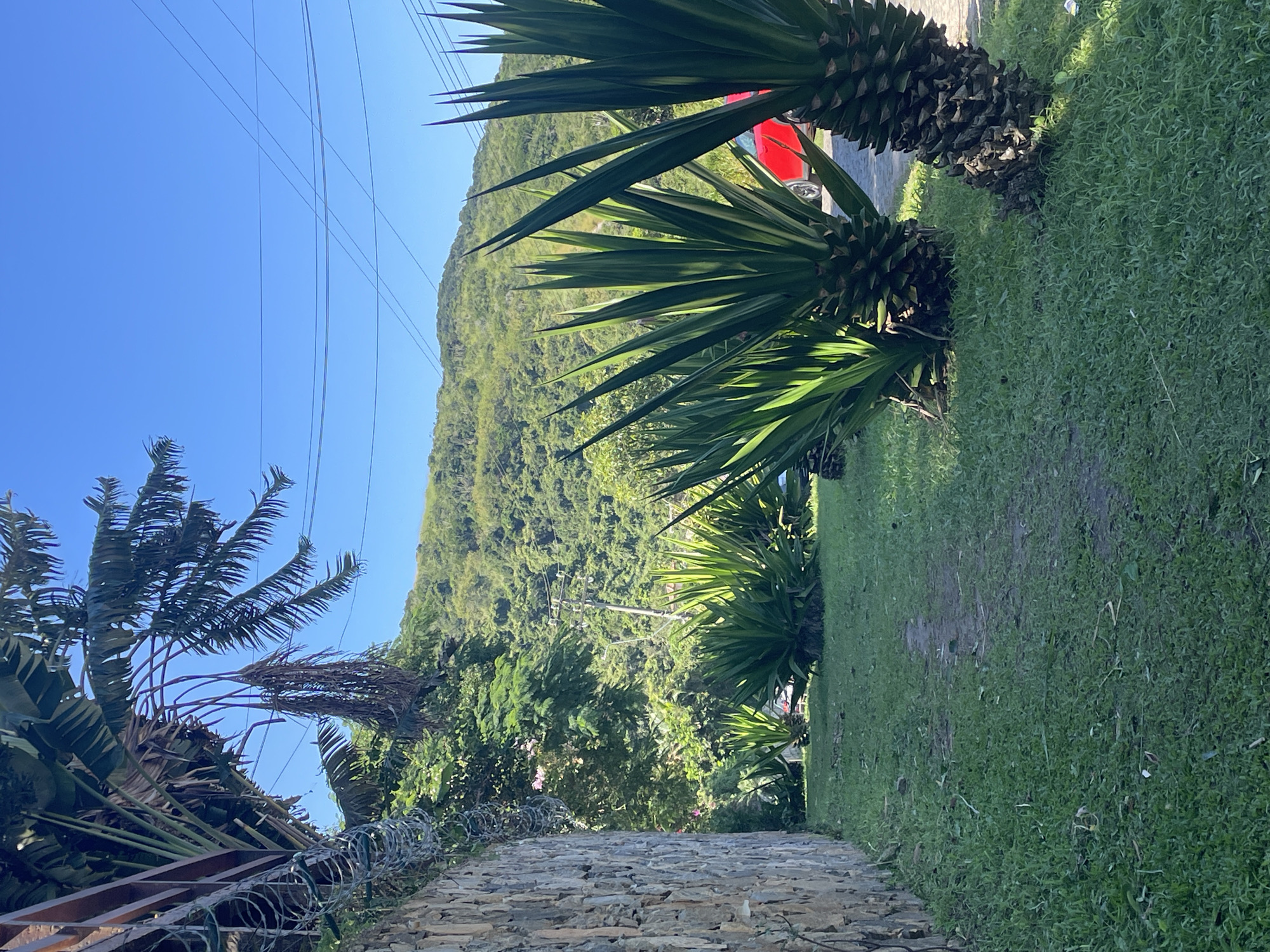 The image depicts a path in Armação dos Búzios, Brazil, characterized by a stone walkway leading towards a lush, green hillside. The path is bordered on one side by a stone wall with barbed wire, partially obscured by a palm tree. Along the opposite side, the path is flanked by well-maintained grass and several yucca plants. A red vehicle is visible in the background, parked near the yucca plants. Overhead, power lines traverse the blue sky, contrasting with the natural scenery. The hillside is densely covered in vegetation.