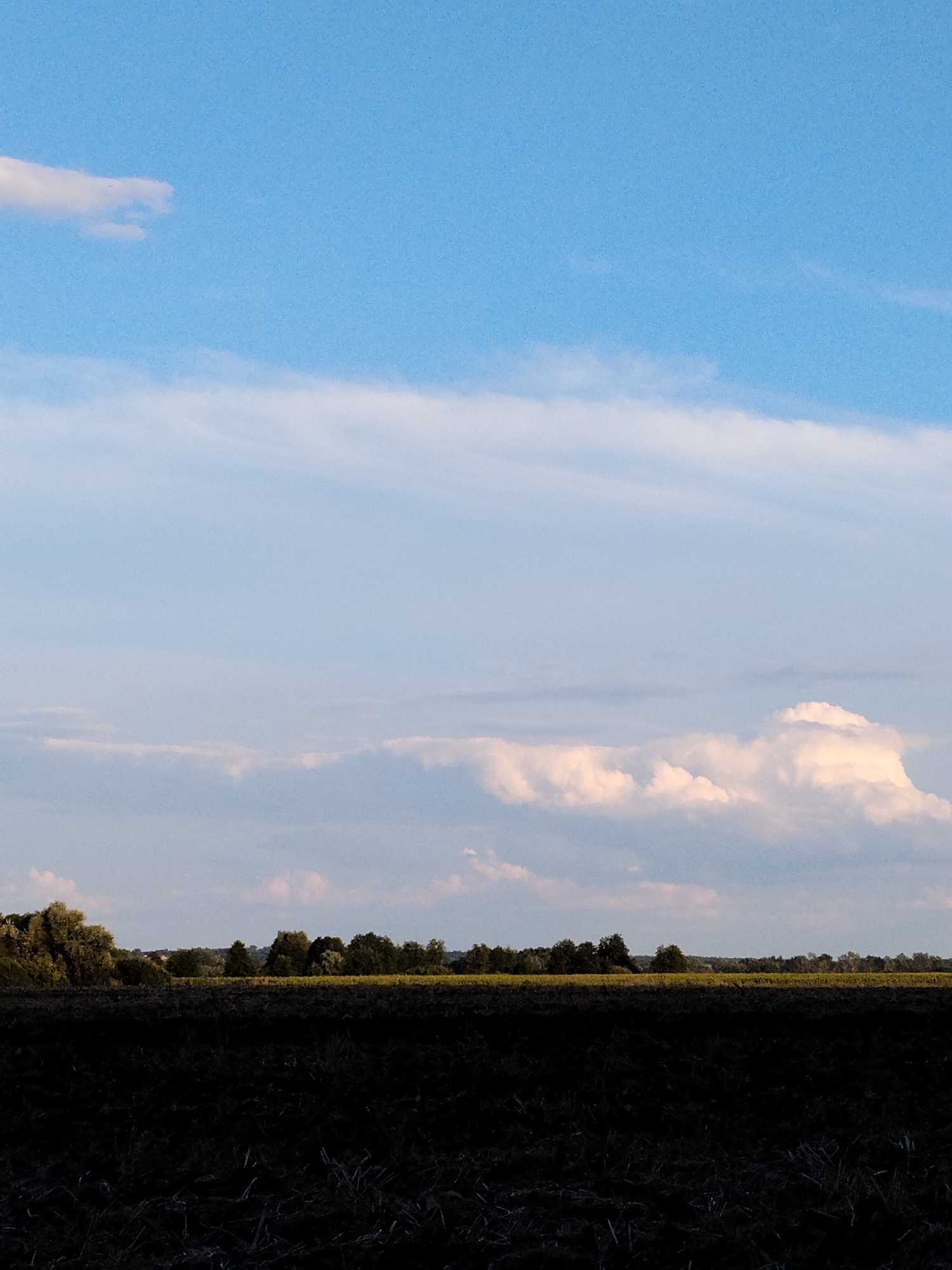 The image depicts a rural landscape under a bright blue sky with scattered white clouds. In the foreground, a dark, tilled field stretches across the frame. Beyond the field, a line of trees forms a dark green horizon, with a strip of yellow, possibly a crop field, visible just above the treeline. The sky takes up the upper two-thirds of the image, with wispy white clouds dominating the mid-ground and more defined, puffy clouds in the distance. The scene is devoid of any people or man-made structures, suggesting a serene, natural environment. The location is identified as Ustyvytsya, Ukraine, implying this is a typical vista of the Ukrainian countryside.