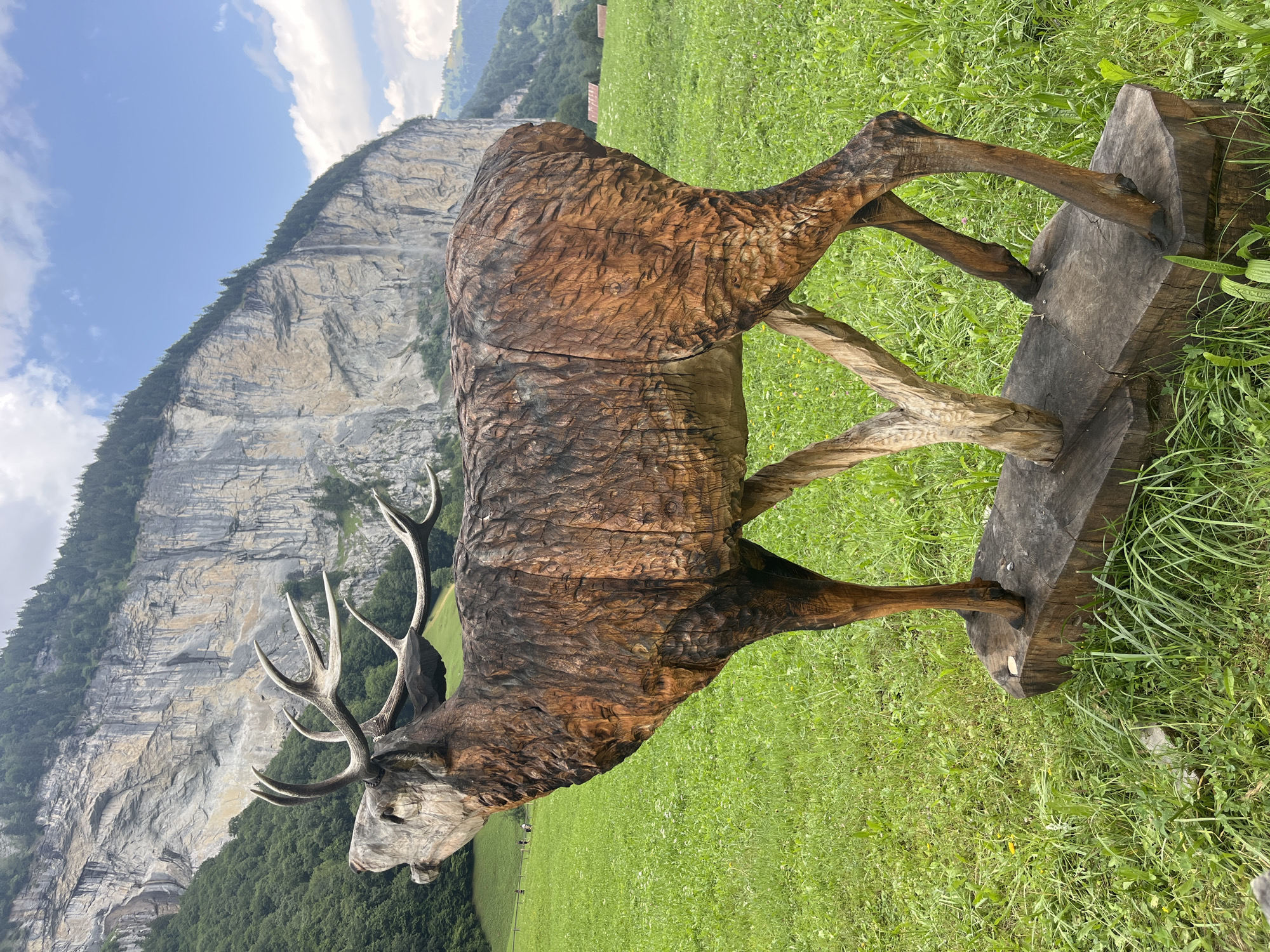A wooden sculpture of a stag is positioned in a grassy field in Lauterbrunnen, Switzerland. The stag, carved from rough-hewn wood, is depicted with its head raised and mouth open, as if in a call. Its antlers are prominent and branched. The sculpture is supported by wooden legs and rests on a log base. The background features a steep, rocky cliff face with a waterfall cascading down its side, indicative of the Swiss Alps. Lush green trees cover the lower slopes of the cliff, and a blue sky with scattered clouds is visible above. In the middle distance, several small figures can be seen walking in the field, and some buildings with red roofs are visible on the far right. The overall scene is pastoral and highlights the natural beauty of the Swiss landscape.