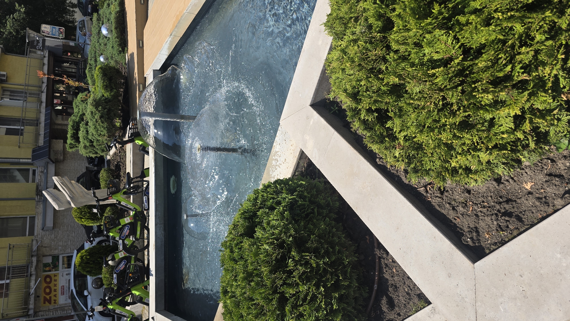 The image depicts a public space in Varna, Bulgaria, featuring a modern fountain with water jets and surrounding greenery. The fountain is rectangular with a concrete frame and contains clear water. The water jets create circular patterns on the surface. Adjacent to the fountain are manicured, spherical bushes planted in soil bordered by the concrete frame.
In the background, there is a row of lime-green bicycles parked along a building. The building has several businesses, including what appears to be a "Zoo Market." There are parked cars, including a white one visible near the bicycles. The overall scene suggests an urban area with well-maintained public spaces.