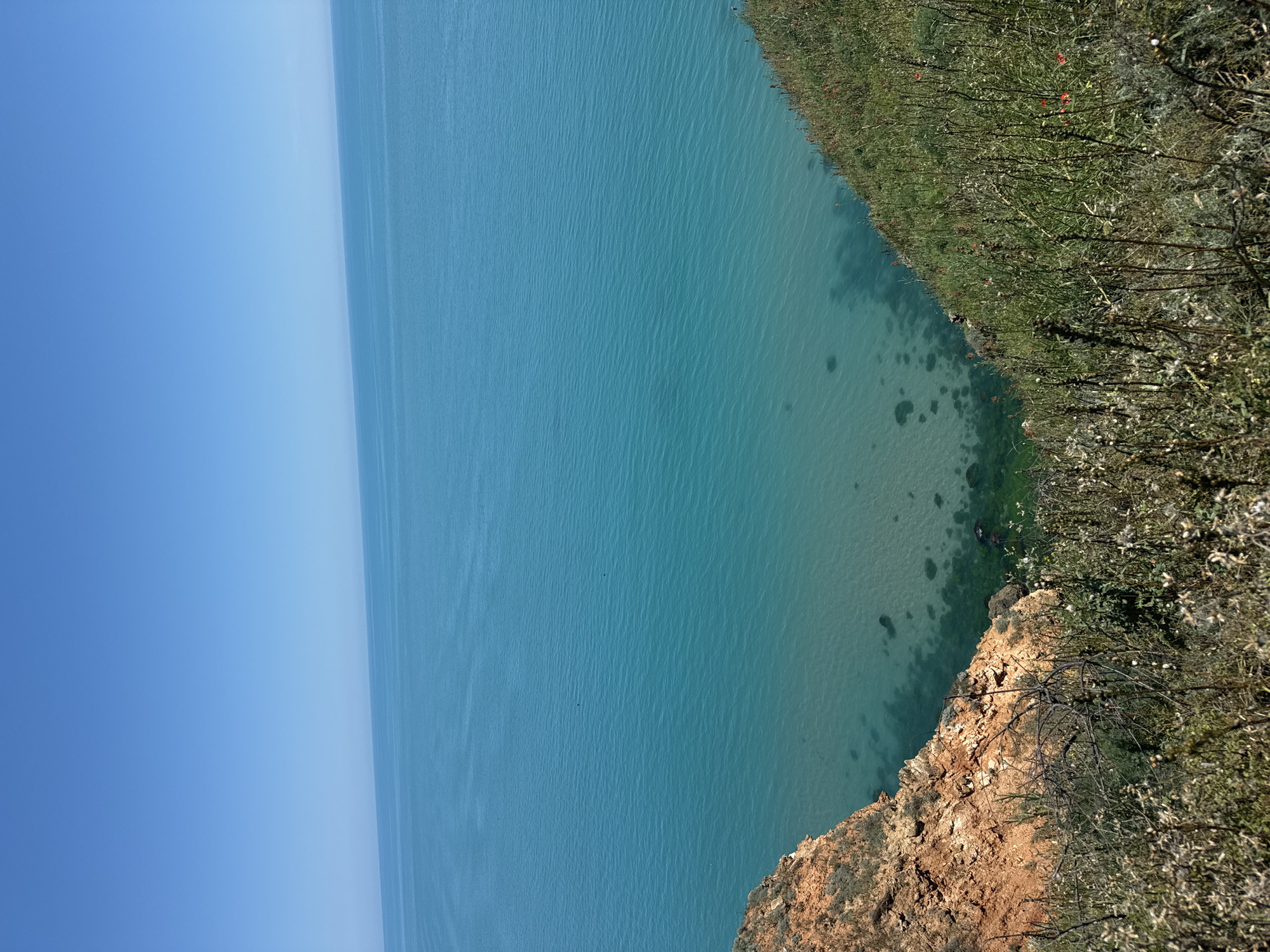 The image depicts a clear blue sky meeting a vast expanse of turquoise water. The water is calm with a gentle ripple pattern. Along the right side of the image, a grassy hillside slopes down towards the sea. Scattered red wildflowers are visible amongst the green grass. To the left, a steep, reddish-brown cliff face drops sharply to the water's edge. The water near the cliff appears shallower and clearer, revealing dark shapes that could be rocks or submerged vegetation. The overall scene conveys a sense of natural beauty and tranquility.