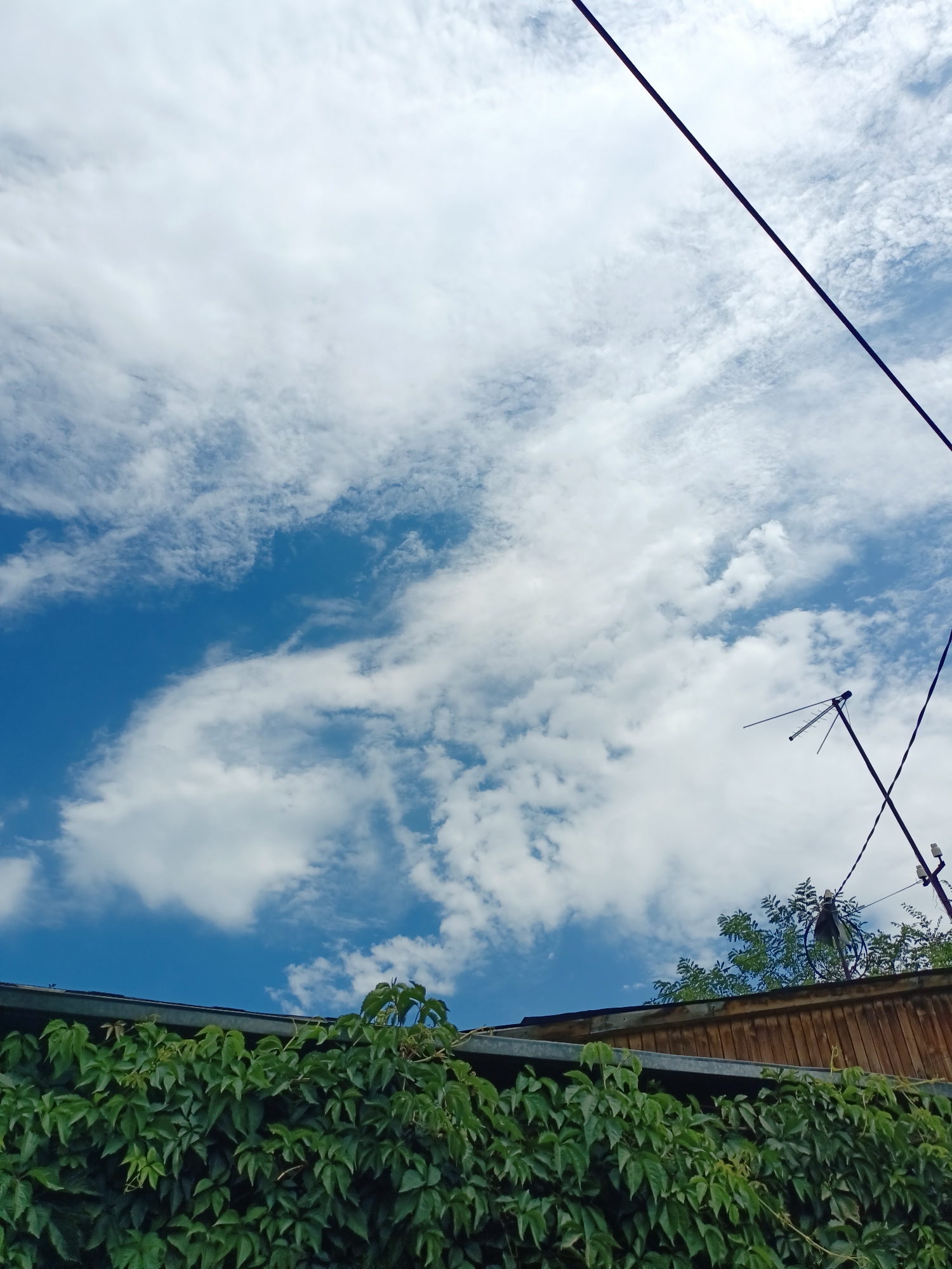 The image depicts a view of a blue sky with scattered white clouds, seen from behind a dense green hedge. The hedge is overgrown and covers the top of what appears to be a wooden fence or structure. Above the hedge and extending into the sky are dark wires, one of which is particularly prominent, running diagonally across the frame. There is also a television antenna visible against the sky. The scene appears to be outdoors, likely in a residential area, given the presence of the hedge, fence, and antenna. The location is identified as Almaty, Kazakhstan.