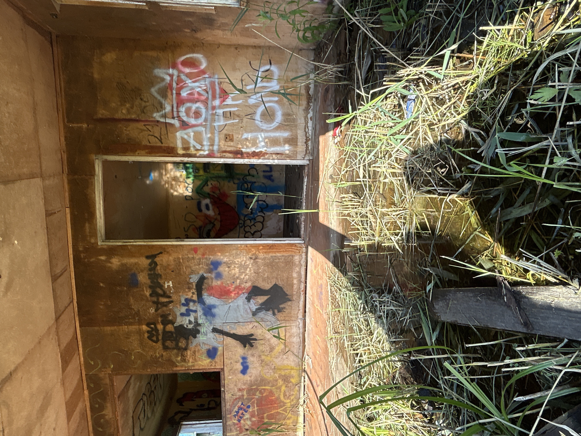 The image depicts the interior of a dilapidated, abandoned building, likely a structure within the city of Slava SNT, Russia. The walls are covered in graffiti, with various tags and images spray-painted in an array of colors. One prominent graffiti piece appears to be a stylized figure in blue and red. Another section shows white spray paint spelling out words like "ABHO" and "HONG". The floor is partially submerged in murky water, with reeds and other vegetation growing through the water and across the floor. A wooden plank lies horizontally in the foreground, partially submerged. Sunlight streams in from an opening, casting shadows and illuminating dust particles in the air. The overall scene conveys a sense of decay and neglect.