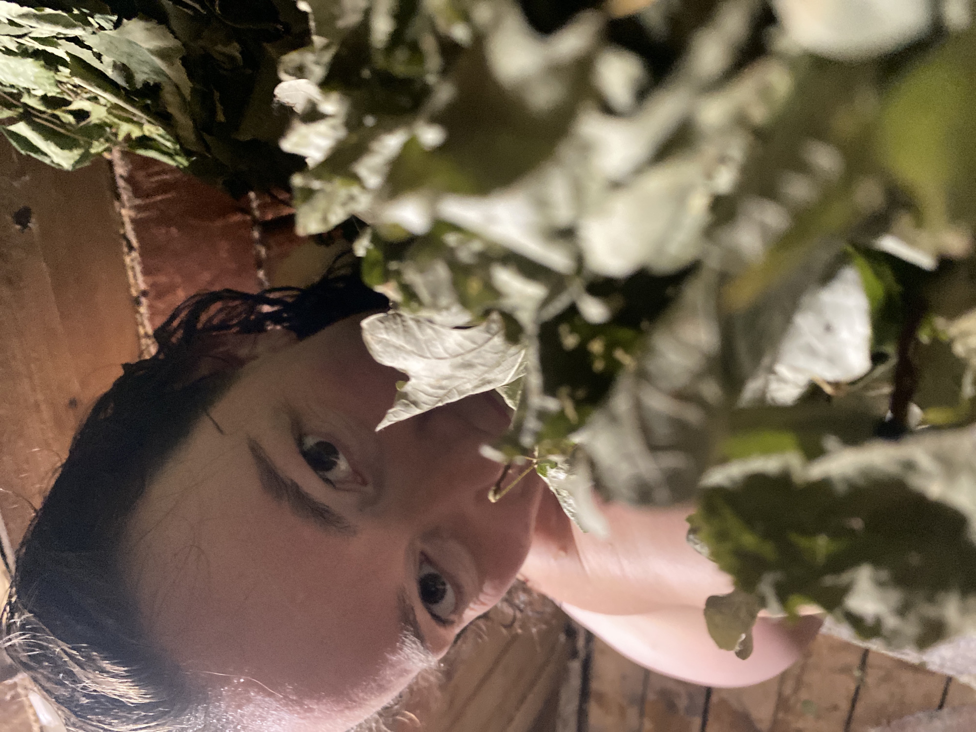 The image shows a close-up, slightly angled view of a person's face surrounded by leafy branches. The person has dark hair, which appears damp, and is looking directly at the camera. The person appears to be lying on a wooden surface. The leaves are a mixture of light and dark greens. This image was taken in Ольховка, Russia.