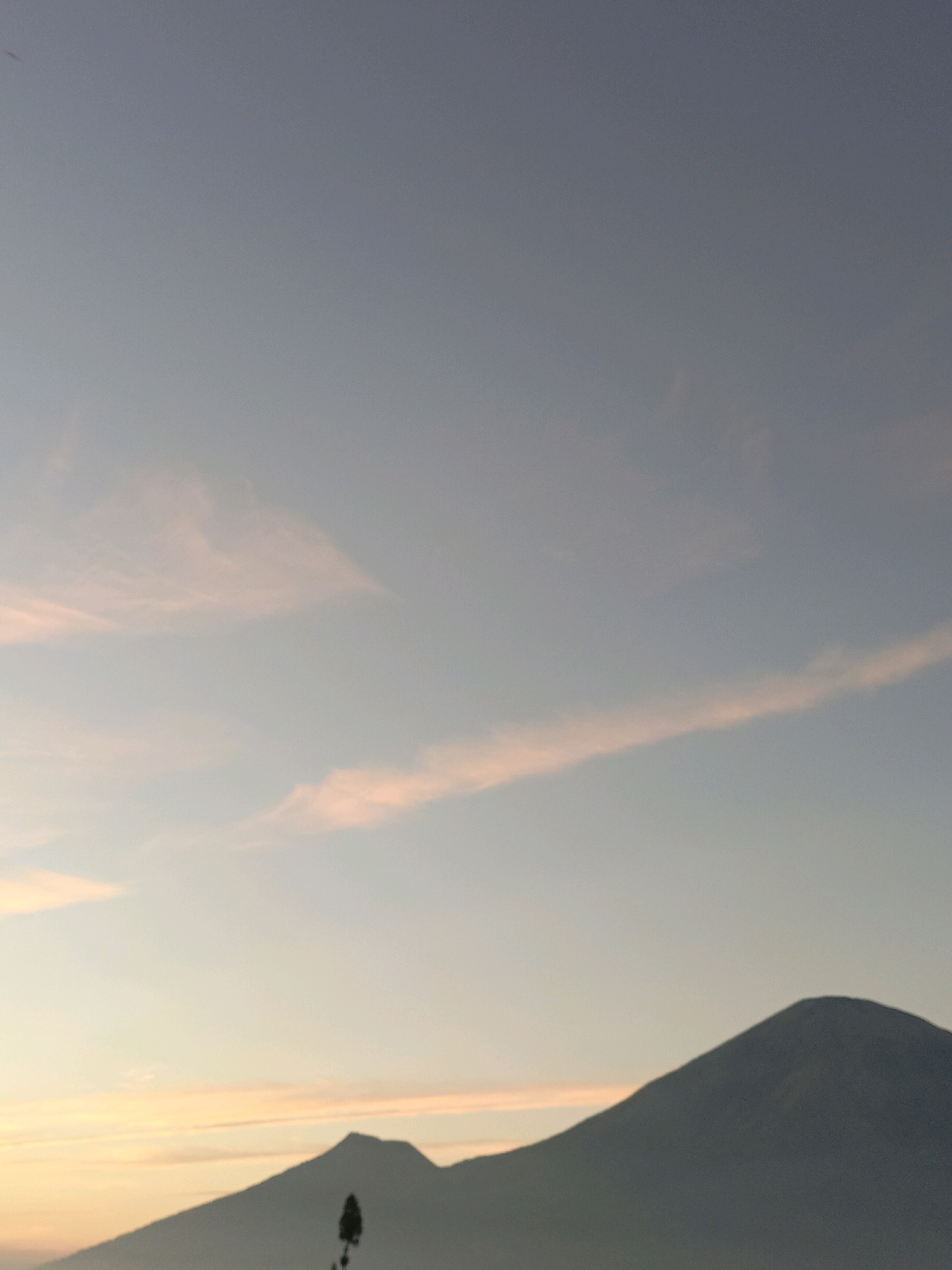 The image captures a serene mountain landscape at dawn, likely in or around Butuh Kidul, Indonesia. The sky is a soft gradient of pale blue and light peach, with wisps of pink clouds streaking horizontally. The silhouettes of two mountains dominate the lower portion of the frame, with the larger peak on the right exhibiting a classic conical shape. In the foreground, a solitary, thin tree stands silhouetted against the sky. The overall impression is one of tranquility and the quiet beauty of nature at the beginning of a new day.