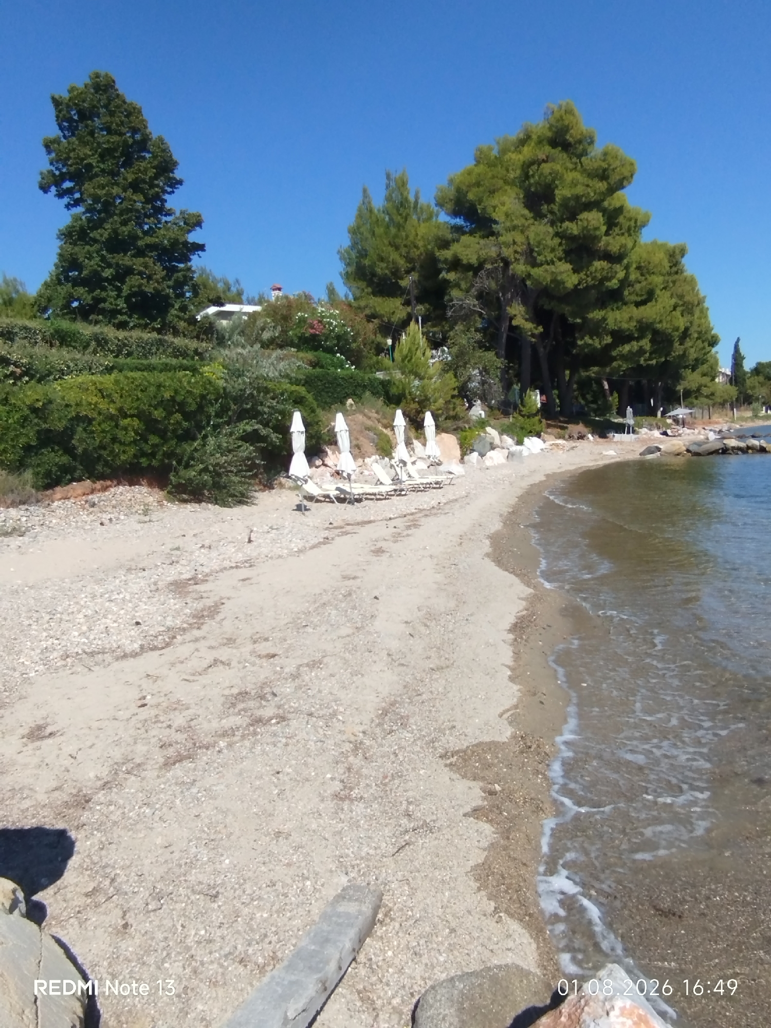 A sun-drenched beach scene unfolds under a clear blue sky. The foreground features a sandy and pebbly shoreline gently meeting the calm, clear water. A line of empty lounge chairs and white umbrellas are arranged on the sand, suggesting a quiet day at the beach. Lush green vegetation, including manicured hedges and trees, forms a dense backdrop behind the beach. In the distance, a few buildings with red-tiled roofs peek through the foliage. The overall impression is one of a tranquil coastal resort in Sithonia Municipal Unit, Greece. The date and time stamp "01.08.2026 16:49" is visible in the lower right corner, and "REDMI Note 13" is in the lower left.