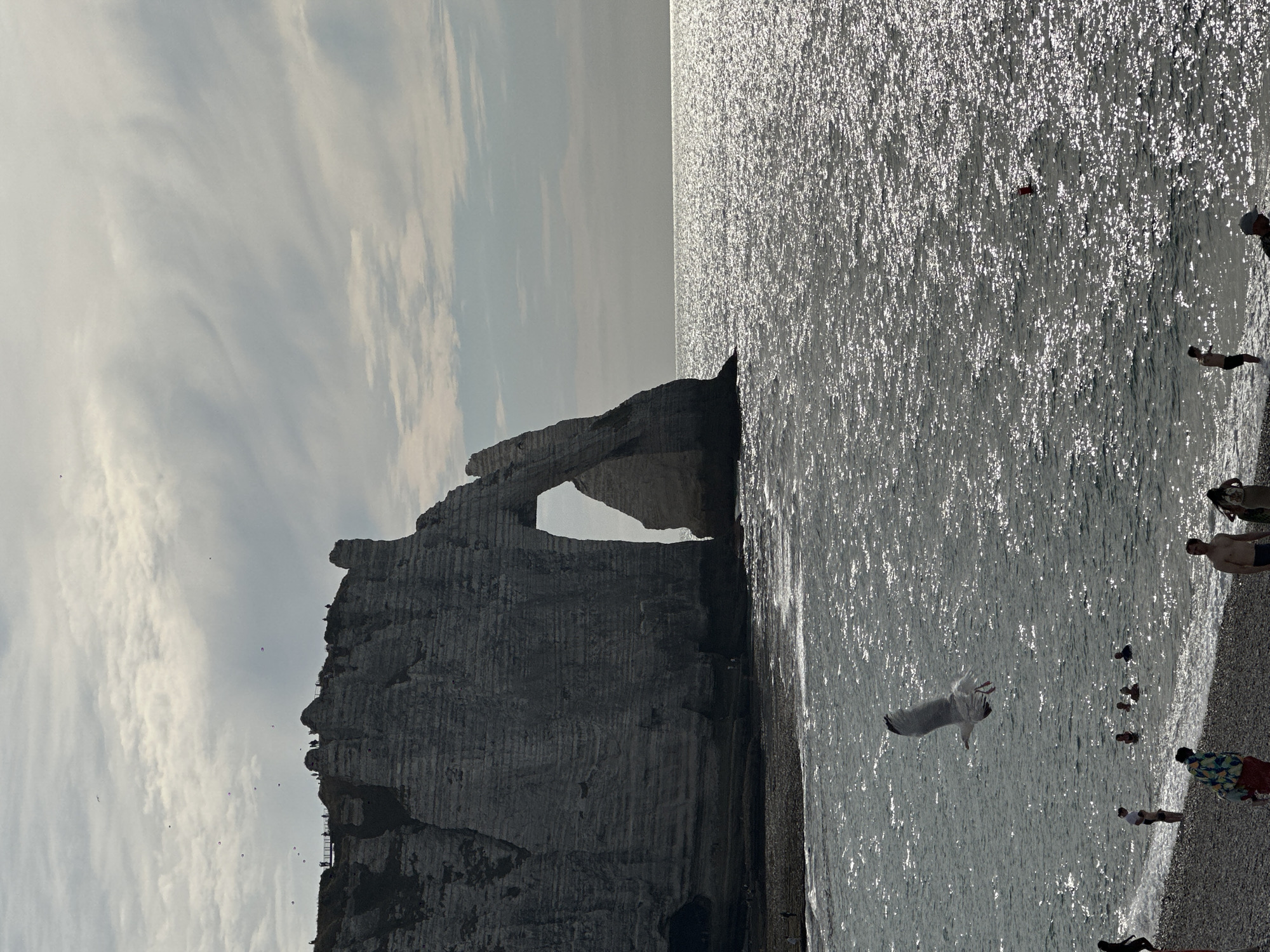 The image depicts a dramatic coastal scene in Étretat, France, featuring the famous natural arch, the Falaise d'Aval. The cliff face, composed of layered sedimentary rock, is a prominent subject, with the distinctive archway framing a smaller rock formation. The sea, choppy and reflective with sunlight glinting off the surface, occupies the majority of the frame. A pebble beach lines the lower portion of the image, with a few people visible, some wading in the shallow water and others walking along the shore. In the foreground, a seagull is captured mid-flight, its wings outstretched. In the background, numerous small figures are silhouetted on the top of the cliff, observing the landscape. The sky is overcast with wispy clouds.