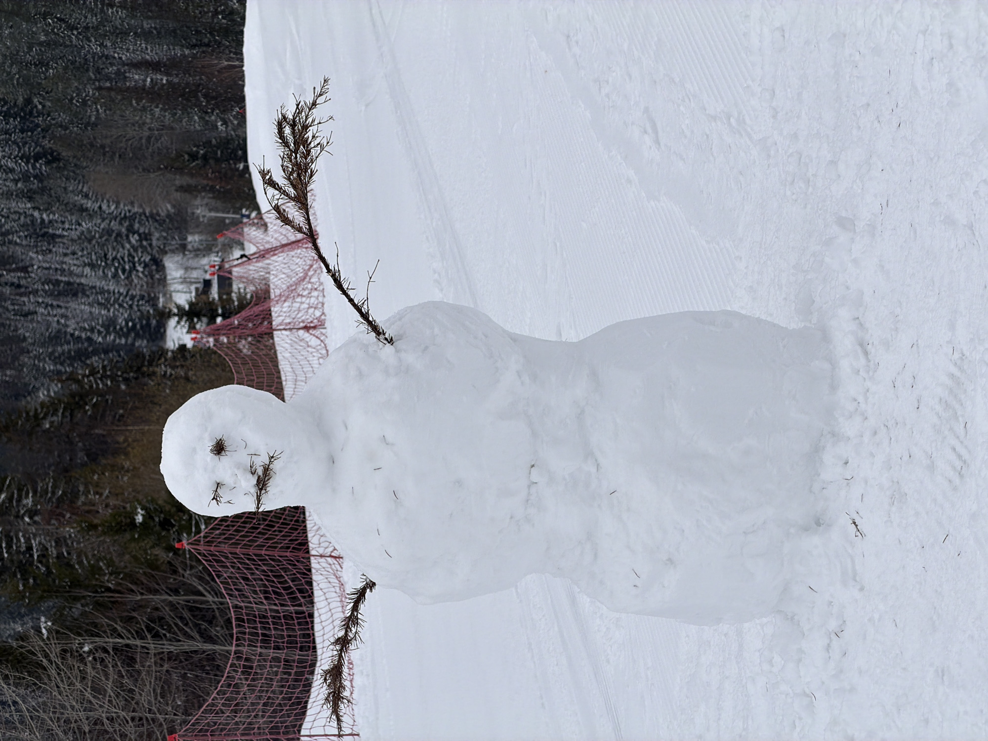 The image shows a snowman in a snowy landscape in Нечкино, Russia. The snowman is made of three sections with a head, body, and base. It has twig eyes and mouth, and stick arms. The background includes a snowy slope, trees, and a red safety net.