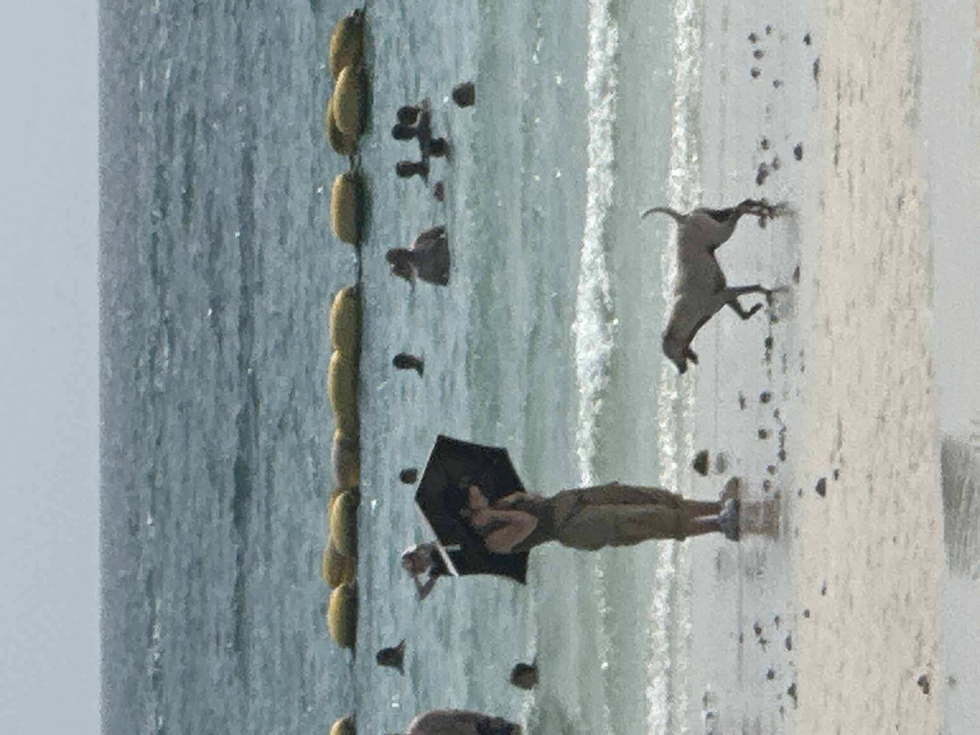 The scene captures a coastal environment, specifically a beach setting likely in Pattaya City, Thailand. A chain of yellow buoys runs along the edge of the water, demarcating a swimming area. Several people are visible in the water. A woman stands on the beach holding a black umbrella, possibly for shade. A dog is mid-stride on the wet sand near the water's edge. Dark pebbles or debris are scattered across the light-colored sand. The water transitions from a darker shade further out to a lighter, foamy texture closer to the shore. The sky is overcast.