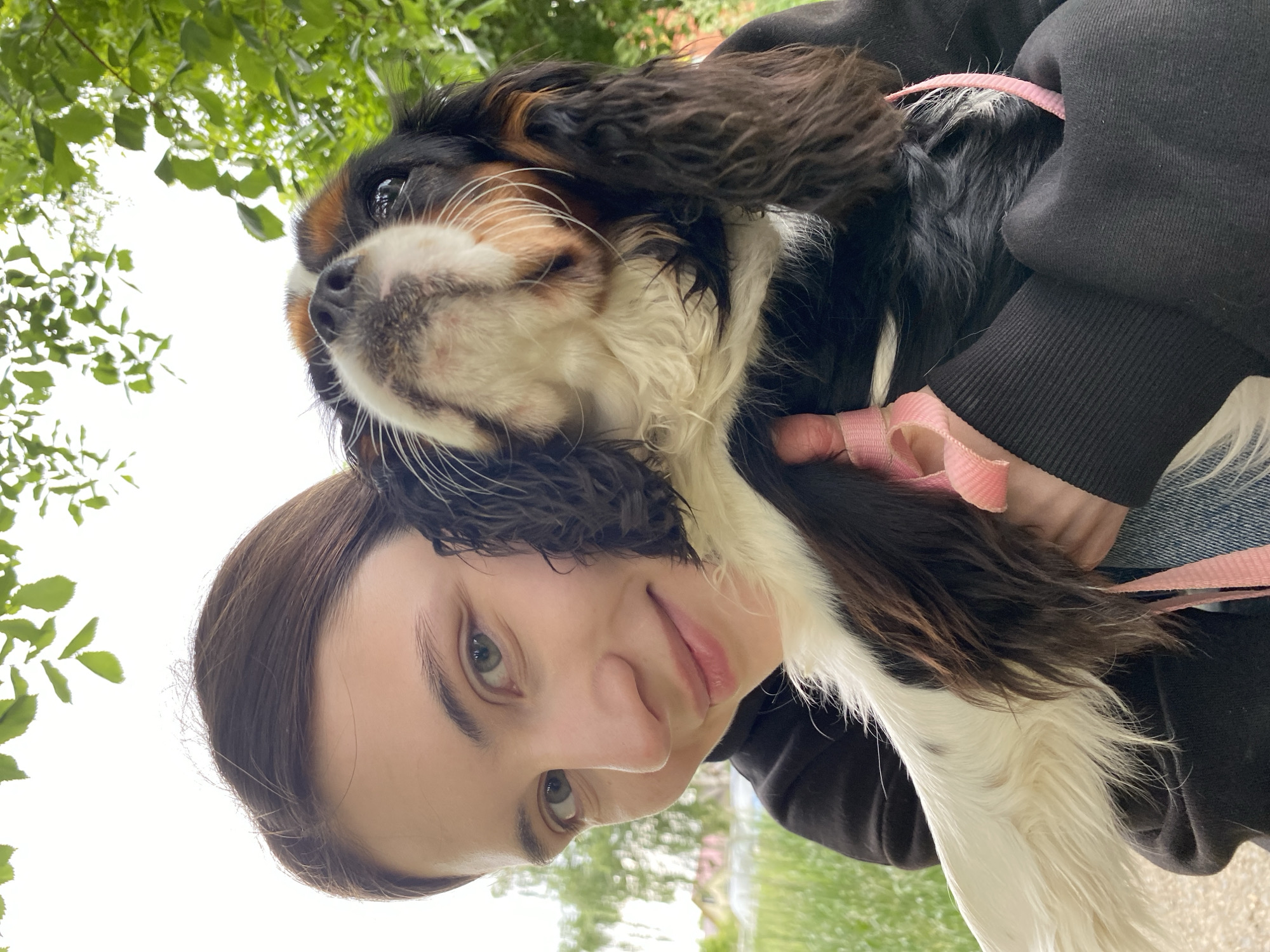 An outdoor, medium shot captures a young woman with light brown hair and green eyes, smiling as she holds a tri-colored Cavalier King Charles Spaniel. The dog, with black, tan, and white markings, is nestled in her arms, looking up towards the sky. Both the woman and the dog are positioned in the foreground. The woman is wearing a black hooded sweatshirt, and a pink leash is visible around the dog's neck and extending to her hand. In the background, out-of-focus greenery and hints of houses suggest a suburban or park-like setting. The lighting indicates a bright, possibly overcast day. The scene is consistent with a casual moment in Votkinsk, Russia, perhaps in a park or garden.