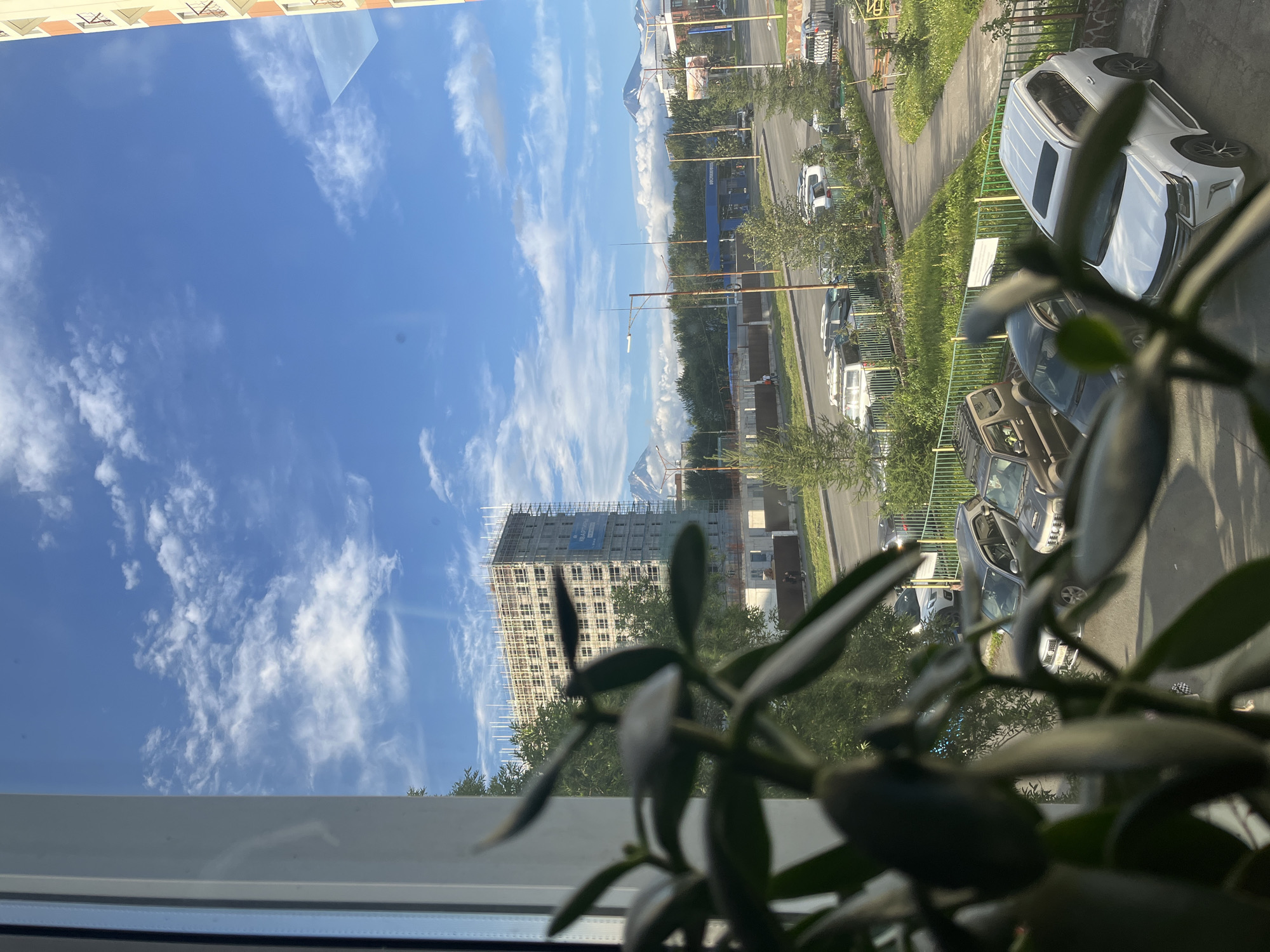 The image captures a view from a window in Petropavlovsk-Kamchatsky, Russia, overlooking a street scene and distant mountains. In the foreground, the blurry leaves of a houseplant partially obscure the view. The midground shows a street with parked cars, including a white Lexus SUV, a dark SUV, and several other vehicles. A sidewalk and green fence line the street, with a small park area featuring benches and trees. Beyond the street, a building under construction is visible, covered in scaffolding, with a banner displaying "КВАРТИРЫ" (Apartments). In the background, two conical mountains, likely volcanoes, are prominent against a blue sky with scattered white clouds. A blue gas station structure is also visible in the distance. The lighting suggests it is daytime, with the sun casting shadows. The overall scene depicts a typical urban environment with residential buildings, ongoing construction, and the distinctive natural landscape of Kamchatka.