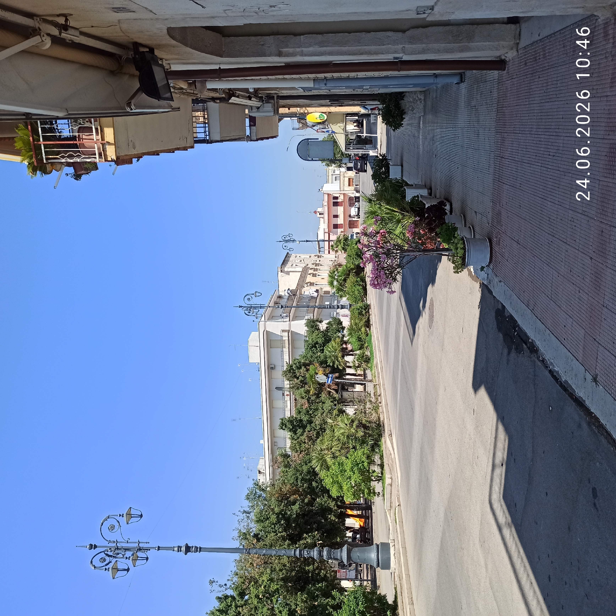 The image depicts a street scene in Bitonto, Italy, on June 24, 2026, at 10:46 AM. The sky is clear and blue, indicating a sunny day.
In the foreground, a paved sidewalk runs along the right side of the image, with a reddish-brown, textured surface. Several potted plants with green foliage and pink flowers are arranged along the edge of the sidewalk, near the street. The street itself is asphalt, with a clear lane marking. Shadows from buildings and streetlights are cast across the road.
On the left side of the street, a decorative, dark metal lamppost with three lamps stands prominently. Behind the lamppost, a row of trees with green foliage lines the street. Across the street, several multi-story buildings are visible. These buildings appear to be residential or commercial, with balconies and windows. One building has a white facade, while others are a lighter color.
Further down the street, more buildings and trees can be seen, along with parked vehicles. A blue traffic sign with a white arrow is also visible. On the right side of the image, the facade of a building is visible, showing architectural details and pipes. A balcony with potted plants is also present on an upper floor.
The overall impression is that of a typical urban street in southern Italy on a bright, sunny morning, with a mix of modern and older architecture, green spaces, and street furnishings.