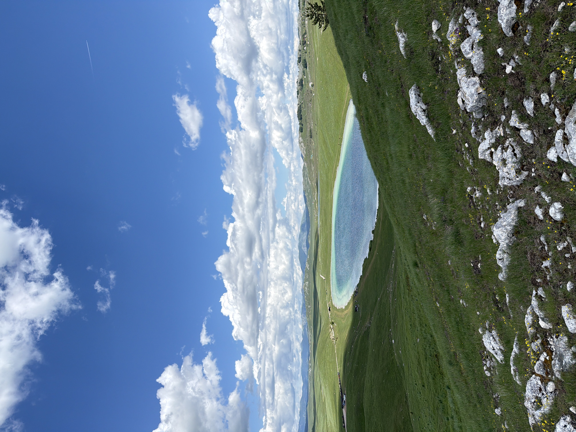A wide-angle, slightly elevated outdoor shot captures a vibrant natural landscape in Novakovići, Montenegro, under a clear blue sky dotted with scattered cumulus clouds. A faint white contrail from an aircraft stretches across the upper-right sky.
The scene is dominated by undulating green hills covered in lush grass, extending to a distant horizon marked by hazy blue-green mountains. Cloud shadows are visible on some of the hills, indicating bright sunlight. A prominent oval-shaped lake with vivid light blue and turquoise waters, suggesting shallow areas near its banks, occupies the mid-ground.
Along the left edge of the lake, a light-colored dirt road or path is visible, with several parked vehicles, including multiple cars and potentially a larger vehicle. A small group of dark-colored cattle (cows) grazes near the lake's edge adjacent to the road. Across the lake, on a more distant hill, several small, light-colored structures, possibly houses or cabins, are sparsely distributed. A single, small, conical evergreen tree stands on a grassy slope in the mid-right.
The immediate foreground features a steeply sloped grassy hill covered with numerous irregularly shaped, whitish-gray rocks. Small clusters of bright yellow wildflowers are interspersed among the grass and rocks.