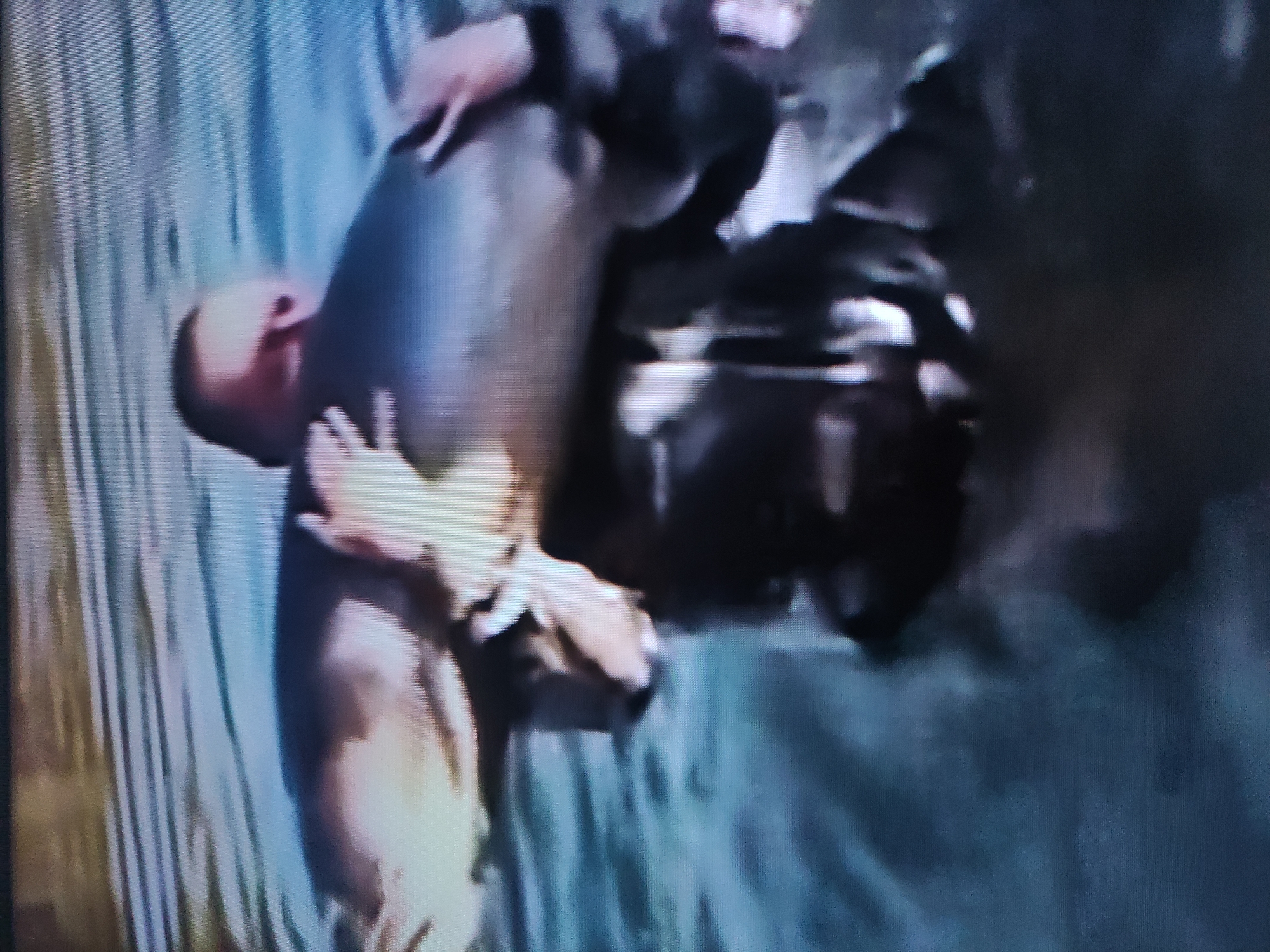 A man is embracing a horse in an unspecified location. The man's head is bald, and he is fair-skinned. The horse is brown. The background includes blue, blurred details, possibly water. No specific elements indicate the city of Pavlodar, Kazakhstan.
