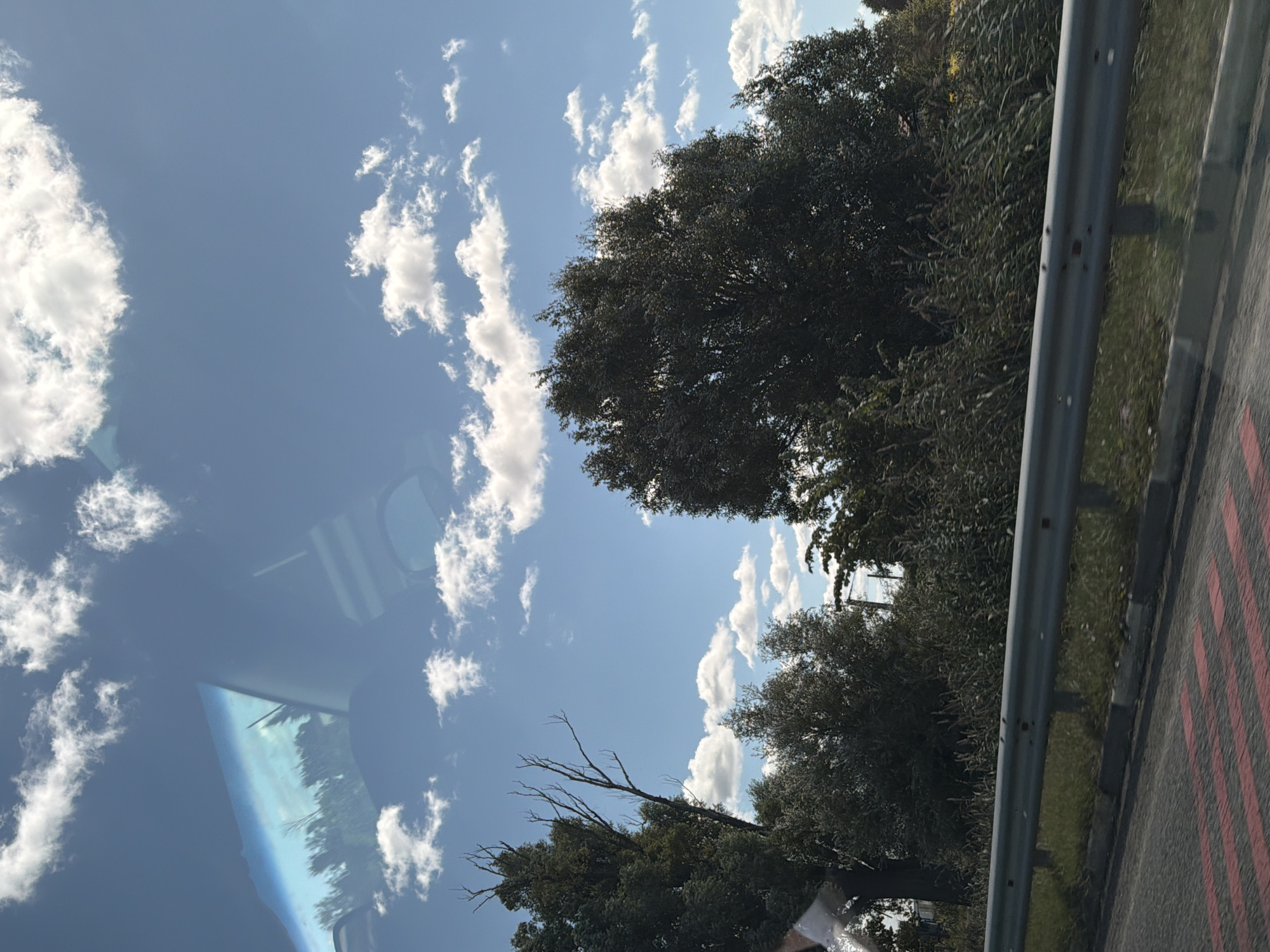 A view from a vehicle traveling on a road in the city of Tsarivka, Ukraine. The image captures a clear blue sky with scattered white clouds. In the foreground, a metal guardrail runs along the side of the road, separating it from a grassy embankment. The road itself is paved with red and white markings. Beyond the guardrail, dense green foliage and trees line the landscape, with a prominent large tree on the right side of the frame. The reflection of trees and the sky can be seen on the vehicle's windshield, suggesting a sunny day.