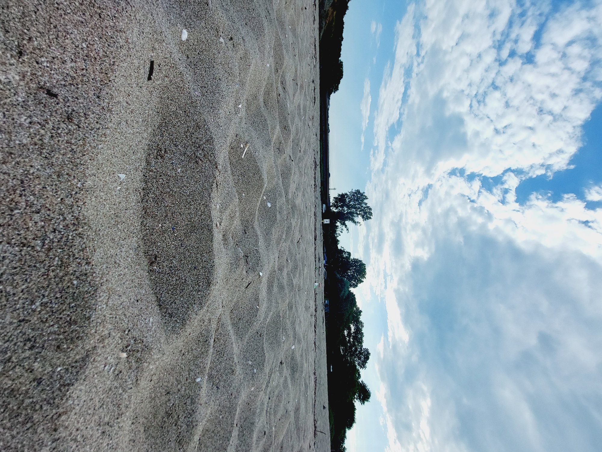 The image depicts a low-angle view of a sandy beach with gentle undulations in the sand. In the foreground, the textured sand dominates the frame, with small shells and debris scattered across its surface. Beyond the beach, a line of trees forms a dark silhouette against the sky. Above, a bright blue sky is filled with scattered white clouds. In the distance, a subtle haze suggests a broader landscape, possibly including infrastructure or distant vegetation. The overall impression is one of a natural, coastal environment.