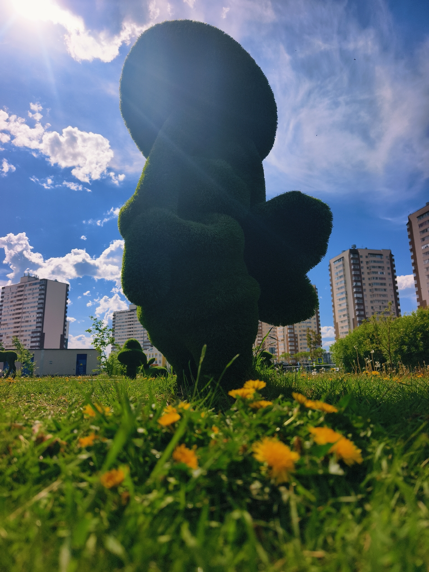 The photograph shows a low-angle view of a grassy field with dandelions in Tyumen, Russia. In the foreground, blurred yellow dandelions are interspersed with green grass. Dominating the middle ground is a large, topiary sculpture shaped like a figure. Its form is somewhat obscured by the sun, but the overall impression suggests a rounded shape on top with a narrower, more defined shape below.
In the background, high-rise apartment buildings are visible against a bright blue sky with scattered white clouds. Other smaller topiary sculptures are also seen. A few people can be seen blurred on the left of the frame. The scene is bathed in bright sunlight.