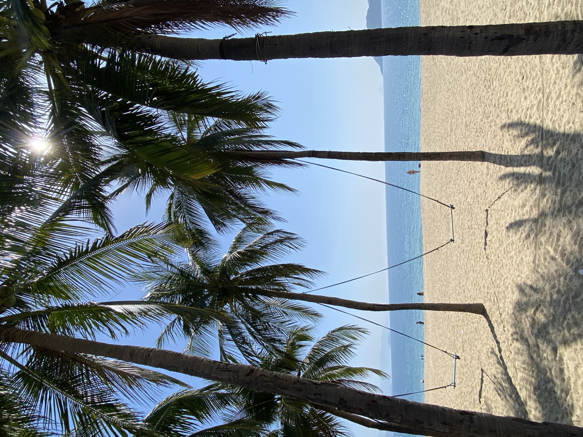 The image depicts a serene beach scene in Nha Trang, Vietnam, likely at a location such as Bai Dai Beach, known for its palm-lined shores and tranquil waters. Several tall palm trees dominate the foreground, their fronds casting dappled shadows on the golden sand. Two swings, suspended by ropes from the palm trees, hang empty over the beach. In the background, the calm, blue ocean stretches to the horizon, meeting a clear, bright sky. A few distant figures can be seen on the beach near the water's edge. The overall impression is one of a peaceful, idyllic tropical setting.