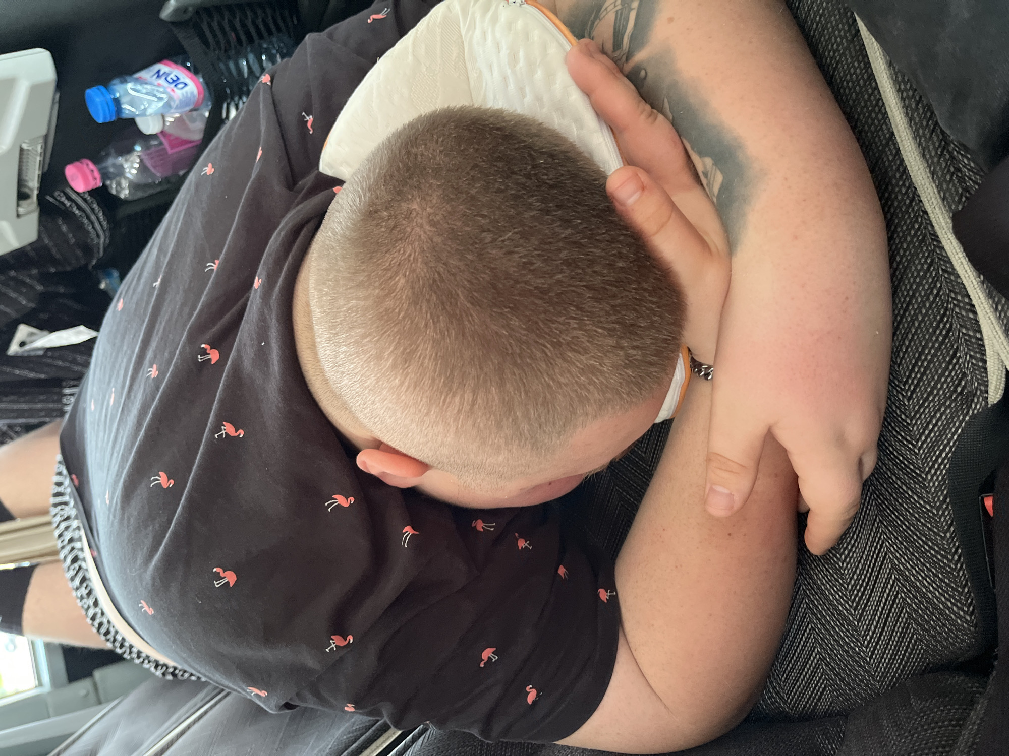A person with a shaved head, wearing a black t-shirt with flamingo patterns, is sleeping. Their head rests on a white cushion. The person's arm is visible, featuring a tattoo. Nearby, there are water bottles in a storage area. The location is not identifiable as Bottega Panzano, Italy, based on the visual information provided.