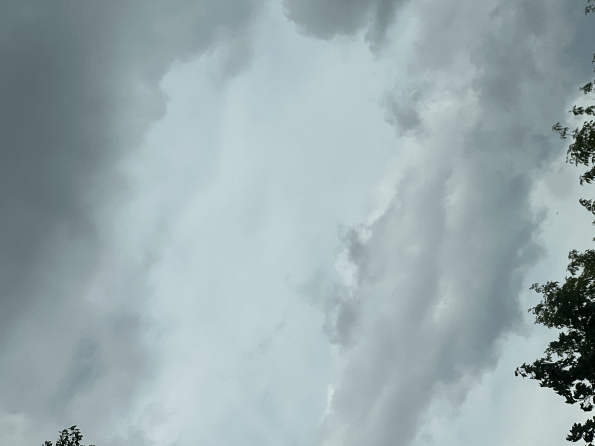 The image shows a cloudy sky over a cityscape, with the tops of dark green trees visible in the foreground. The clouds are a mix of light gray and darker, more ominous shades, suggesting overcast conditions or an approaching storm. The sky occupies the majority of the frame, with a faint pale blue visible in some areas. The overall lighting is diffused and cool. The scene is generic and does not contain specific identifying features that would allow for precise localization within Warsaw, Poland, beyond it being an outdoor, likely urban or suburban, environment. There are no people, discernible objects, or actions depicted.