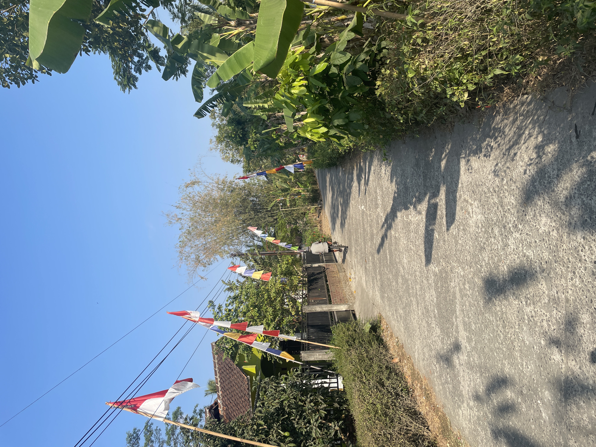 This is a vertical, medium shot of a paved road in Sucenjurutengah, Indonesia, on a clear, sunny day. The road is flanked by lush greenery, including trees and bushes, with banana trees prominently visible on the right side. Along the left side of the road, a residential property with a tiled roof and a dark fence can be seen. Indonesian flags, red and white, are displayed on poles along the road, indicating a possible celebration or national holiday. A person is riding a bicycle away from the camera down the road. The sun casts distinct shadows of the flags and vegetation onto the road's surface.