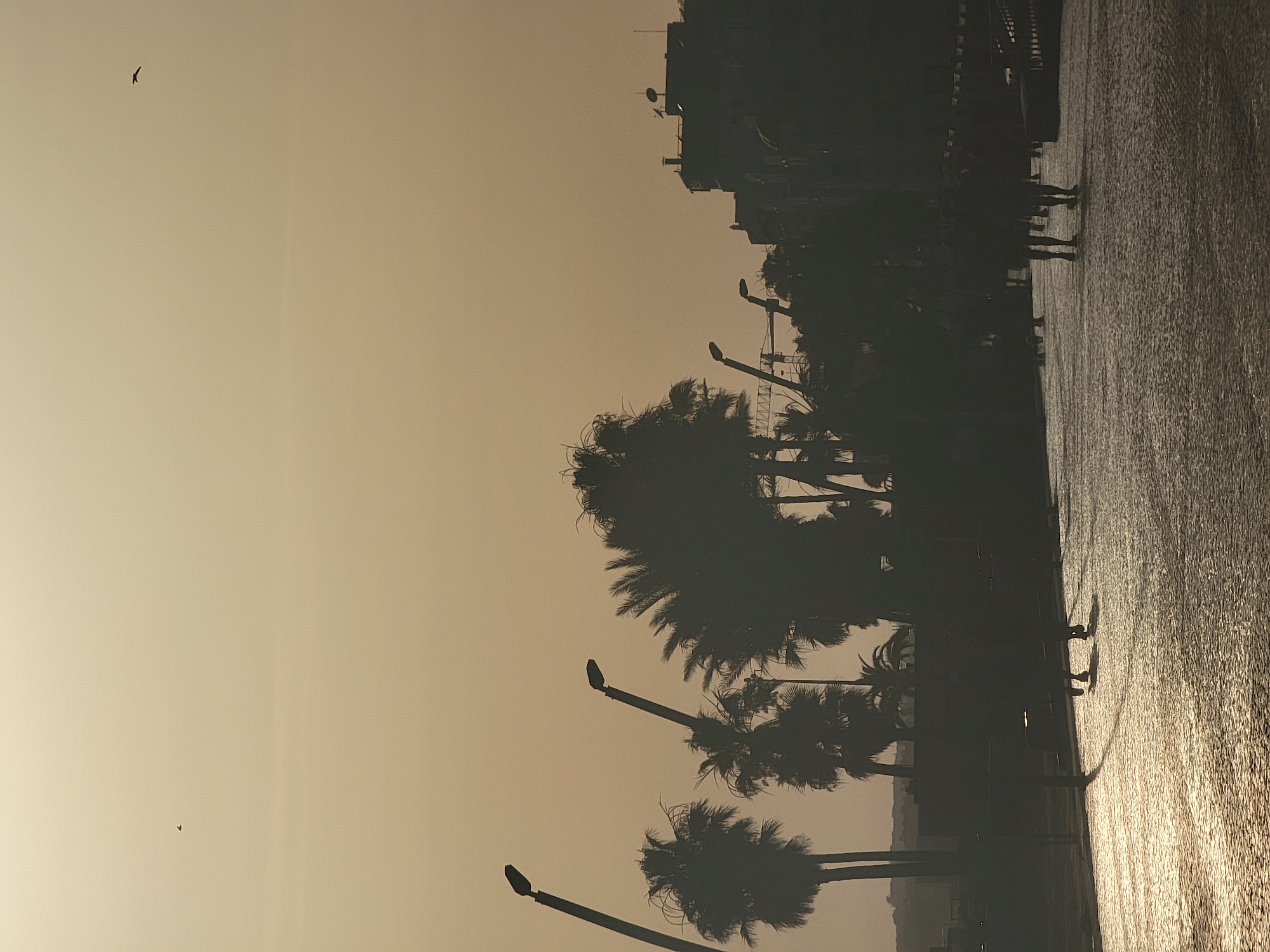The image captures a silhouetted scene of a walkway in Quarteira, Portugal, during what appears to be sunset or sunrise due to the warm, hazy sky. Palm trees and streetlights line the path, creating a distinct coastal atmosphere. In the foreground, the cobblestone walkway reflects the low-lying light, suggesting it is wet or polished. Several figures are walking along the path, their forms blurred by the silhouette. In the background, buildings and a construction crane are faintly visible. A bird is captured in flight against the luminous sky. The overall impression is one of a tranquil evening stroll in a Mediterranean-inspired setting.