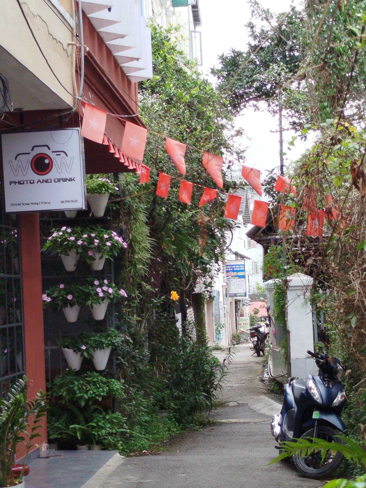 The image depicts a narrow alleyway in Phường Xuân Hương - Đà Lạt, Vietnam, with a strong emphasis on greenery and decorative elements. On the left, a shop facade is visible, featuring a sign that reads "WOW PHOTO AND DRINK" with a camera logo. Red pennant-like flags are strung across the upper portion of the alley, adding a festive touch. Several potted plants with pink and white flowers are strategically placed along the left wall of the alley, cascading down in tiers. The alley floor is paved with concrete.
On the right side of the alley, overgrown vegetation, including vines and trees, dominates the scene, creating a naturalistic and somewhat wild atmosphere. A blue scooter is parked on the right side of the alley, partially obscured by foliage. Further down the alley, another scooter is visible. The overall impression is a charming, slightly unkempt urban space that blends commercial activity with abundant plant life, characteristic of many Vietnamese cities.