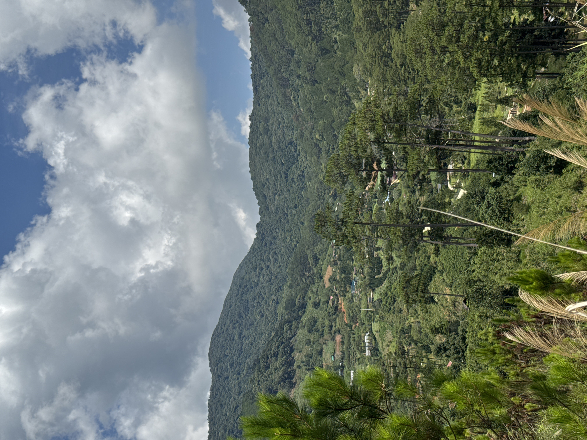 The image depicts a lush, green mountainside in Hiep Thanh, Vietnam, viewed from a slightly elevated perspective. The foreground features pine trees and other foliage, creating a natural frame. The mid-ground shows a dense, verdant mountainside dotted with small buildings and structures. The background consists of a partly cloudy sky with patches of blue visible. The scene is bathed in natural daylight.