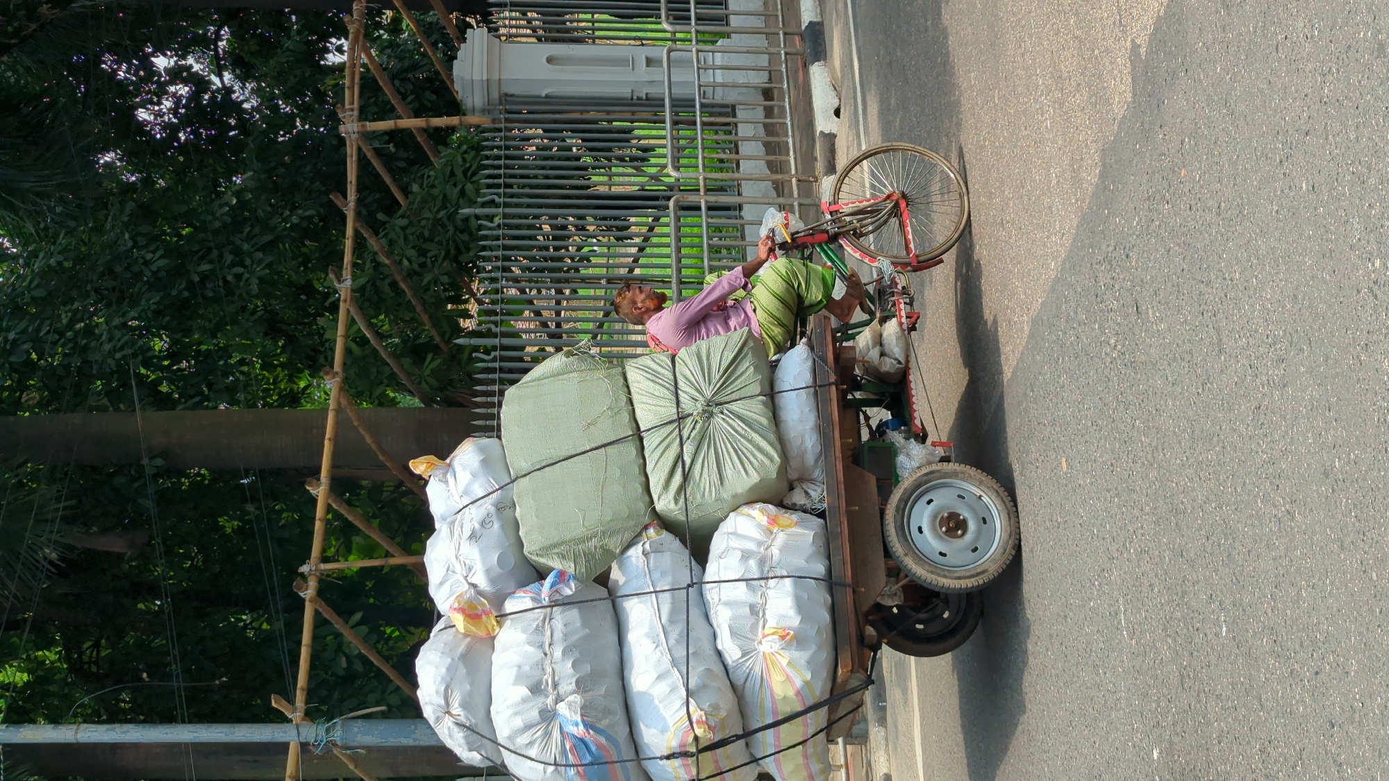 The scene, likely in Dhaka, Bangladesh, shows a man lying on a bicycle rickshaw laden with numerous large sacks. The rickshaw is positioned on a paved road next to a metallic fence. The man wears a pink shirt and green patterned cloth; he appears to be resting. The sacks are a mix of white and green, secured with black straps. A bicycle wheel is attached to the front of the rickshaw, and two smaller wheels support the back. A structure of bamboo poles is visible to the left, set against lush green foliage. The area seems to be a street beside a park.