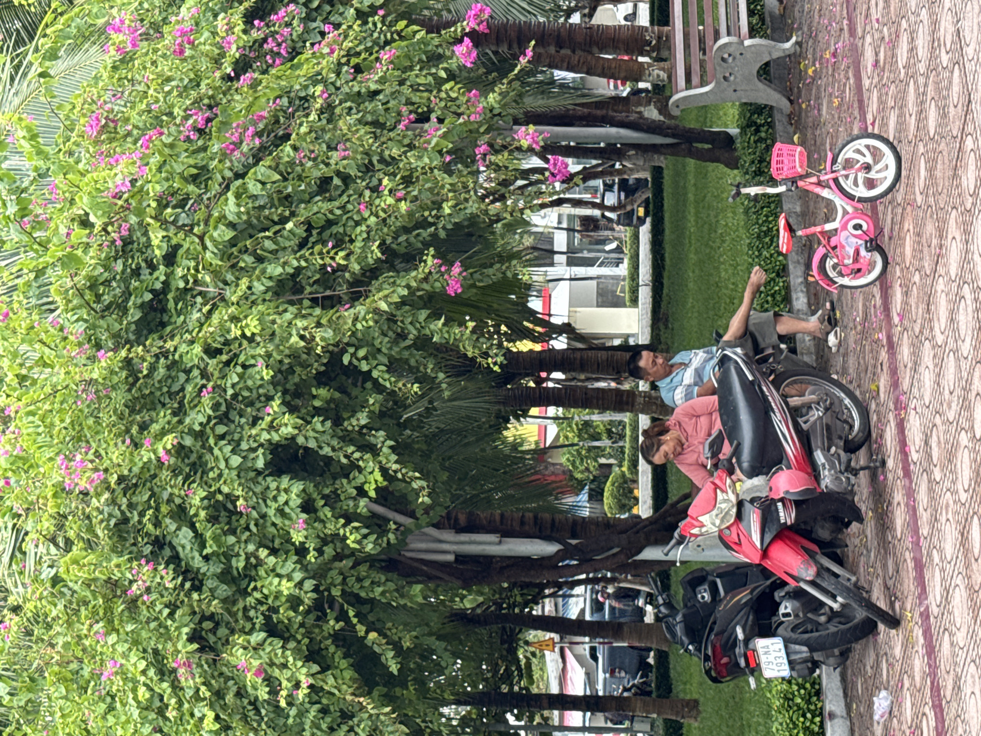 The image shows a street scene in the city of Bac Nha Trang Ward, Vietnam. The photograph appears to be taken in a park or public area with trees, including one with pink flowers. Two people are near two parked motorbikes. A pink child's bicycle lies on the patterned pavement near a bench.
