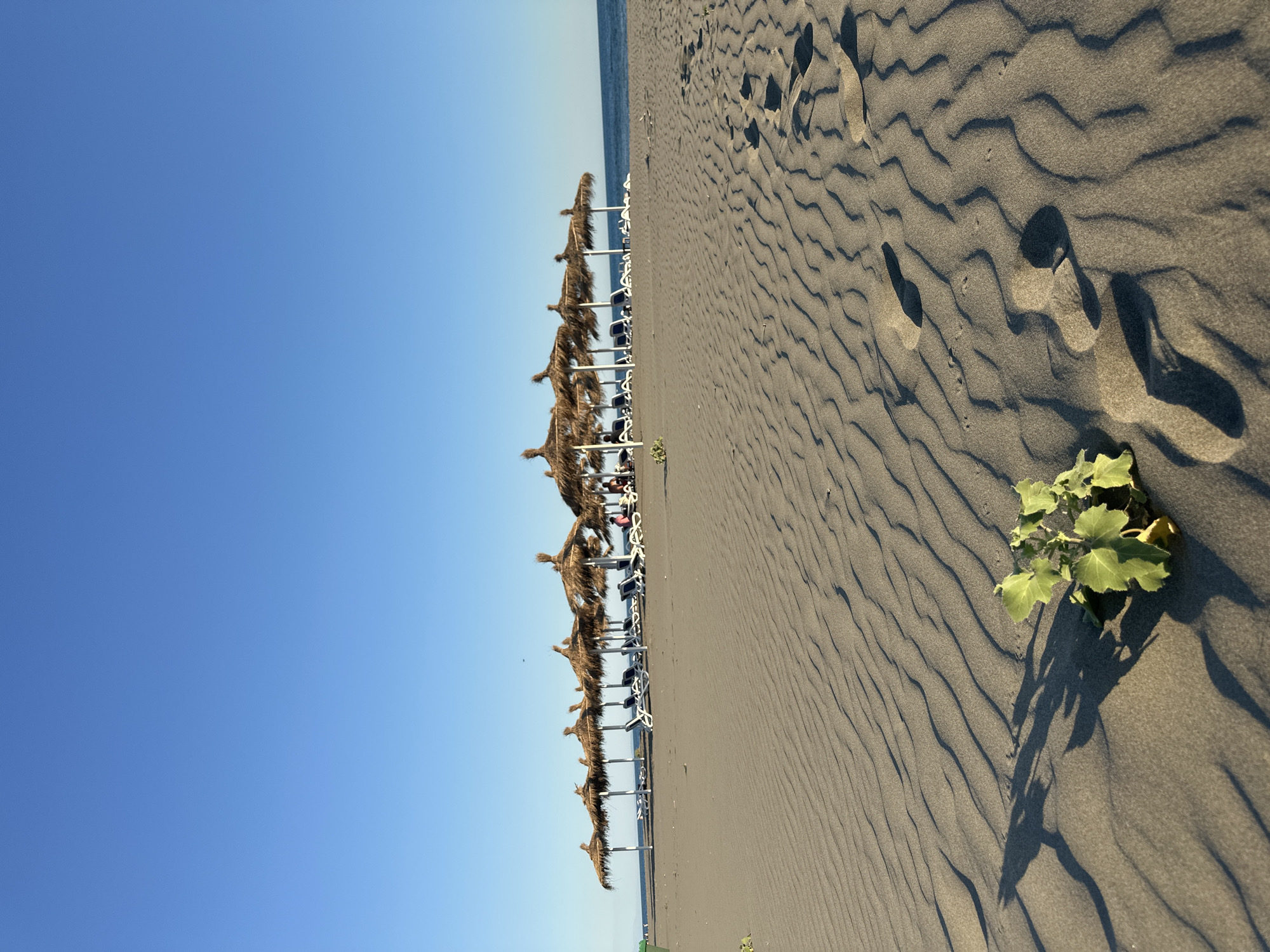 The image depicts a sandy beach scene in Donji Štoj, Montenegro, under a clear blue sky. In the foreground, the sand is textured with wind-blown ripples and footprints, with a small green plant casting a shadow. In the middle ground, a row of thatched umbrellas shades lounge chairs. A few people are visible sitting in the chairs. The background shows a calm sea meeting the horizon.