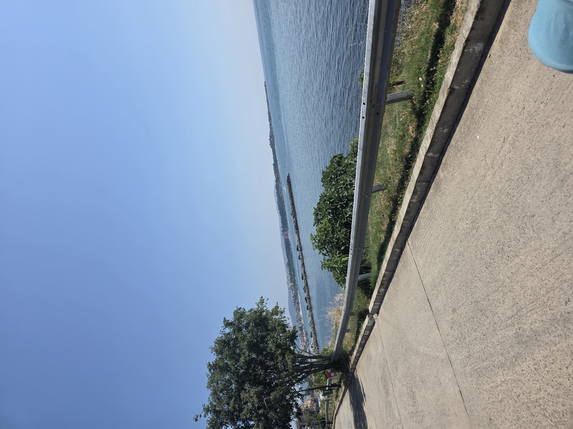 An exterior, eye-level, medium shot shows a sunny, clear blue sky over the Black Sea. A paved road curves from the left foreground into the mid-ground. To the left of the road, a large, leafy tree stands near a small red trash bin. Beyond the tree, buildings are visible, suggesting a town or city. A metal guardrail runs along the right side of the road, separating it from a grassy area. Further out, the sea stretches to the horizon, where land with buildings is visible. A long breakwater extends into the sea from the mid-ground to the left, with a small white boat visible near it. The water is calm and a deep blue. The overall scene depicts a coastal road with a view of the sea and a distant town.