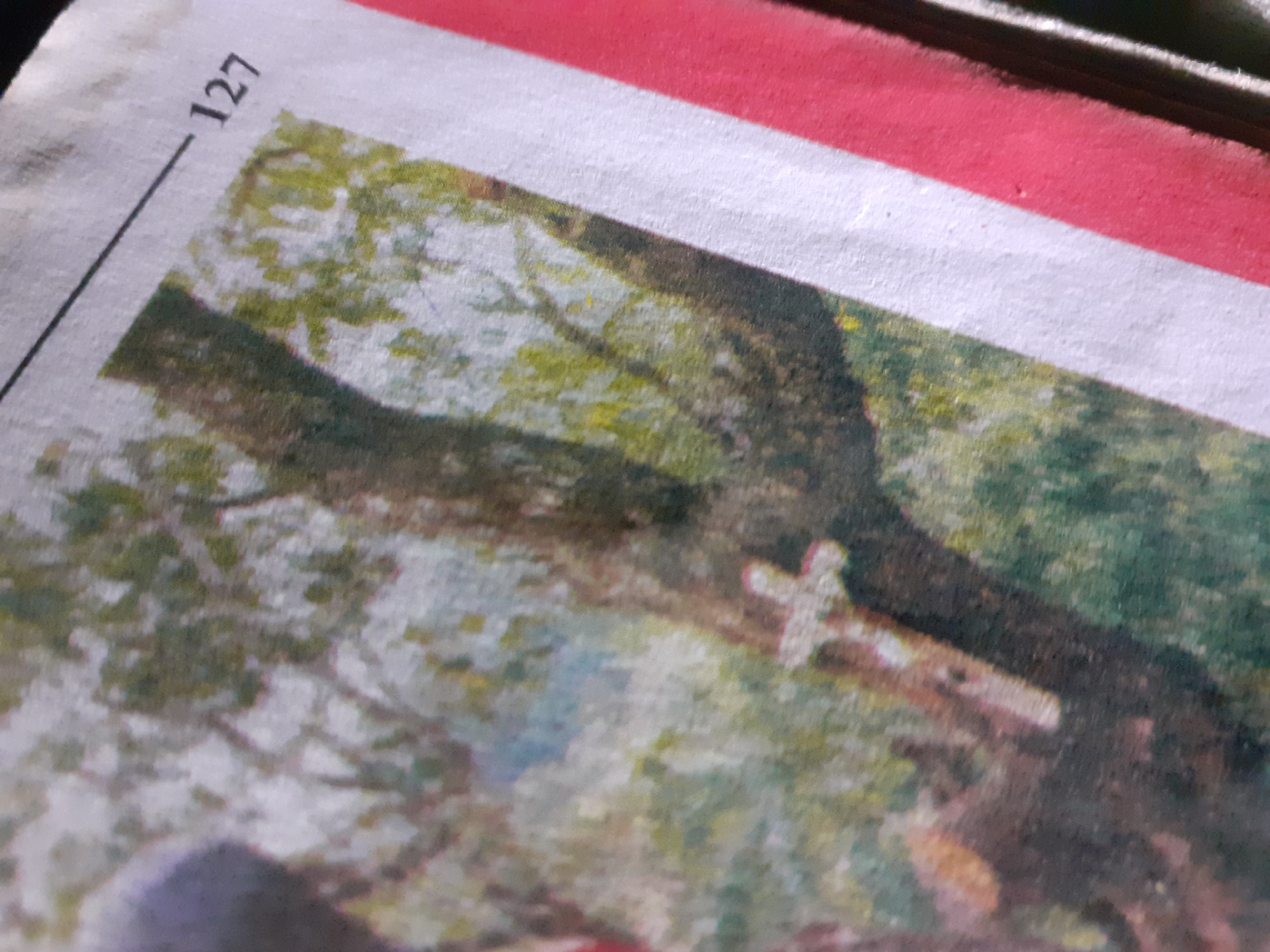 The image shows a close-up view of a page from a book or magazine. A black line runs diagonally across the top right of the page, ending at the number "127" which is printed in black. To the left of this is a painting or photograph of a tree with lush green foliage. A wooden cross is visible attached to the trunk of the tree. The page also features a wide, diagonal red stripe on the right side. There are no visible landmarks or contextual clues to suggest the image's location within Jalingo, Nigeria.