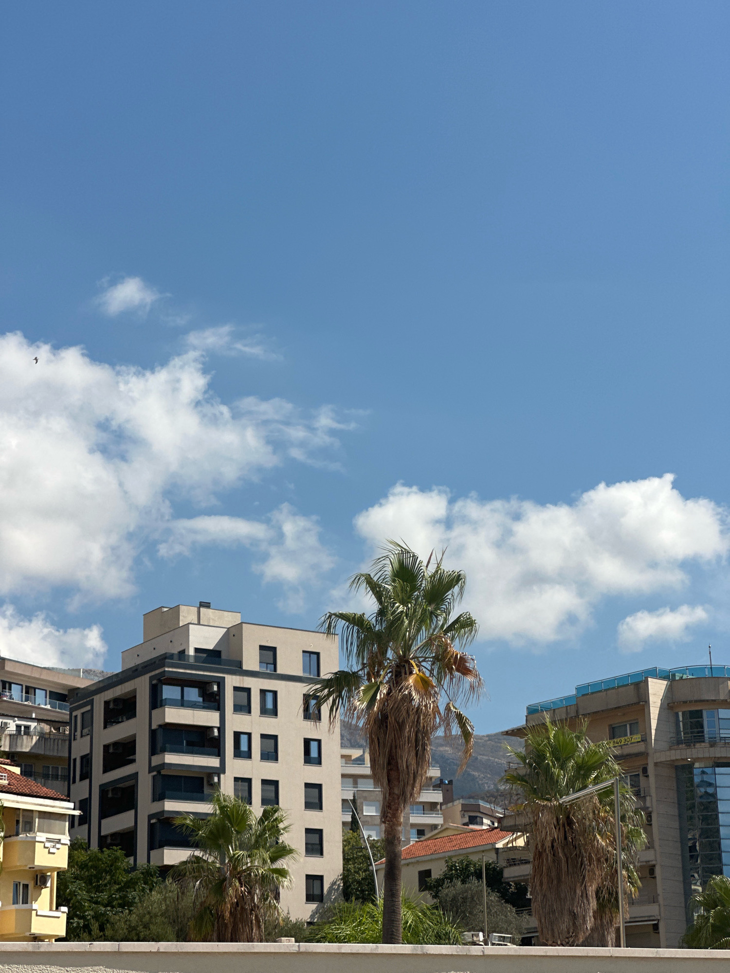 The image shows a view of buildings and palm trees against a blue sky with scattered white clouds. In the foreground, a light-colored wall runs horizontally across the bottom of the frame. Behind the wall, lush green trees and foliage are visible.
Dominating the middle ground are several modern buildings. To the left, a multi-story building with a light beige facade and dark balconies is prominent. It has numerous windows. To the right, another building with a glass facade and a blue-tinted roof structure is partially visible. A tall, mature palm tree with a thick trunk and abundant fronds stands centrally in the frame, with another similar palm tree to its right. The trees appear weathered, with some dried fronds.
In the background, mountains can be seen, indicating a coastal or mountainous region. The sky is a clear, bright blue, with fluffy white clouds dispersed throughout. A single bird is visible in the upper left portion of the sky, appearing as a small dark silhouette.
The scene depicts a warm, sunny day in what appears to be a Mediterranean or subtropical urban environment, possibly a resort area given the presence of palm trees and modern architecture. The location is identified as Boreti, Montenegro.
