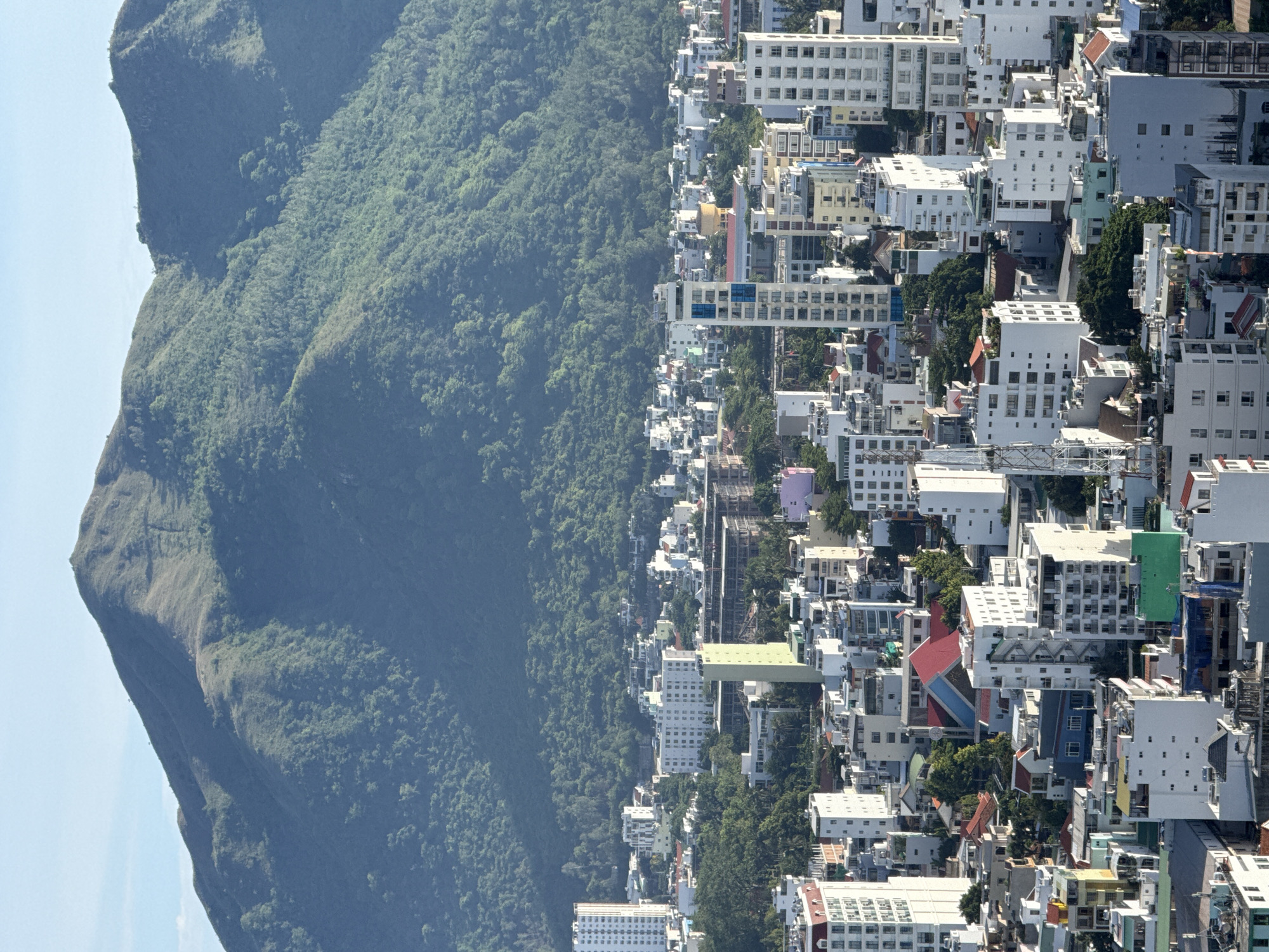 The image is an aerial view of a dense urban area in Nha Trang, Vietnam, with a large, verdant mountain range dominating the background. The cityscape consists of numerous buildings of varying heights and architectural styles, packed closely together. Many of these are multi-story residential or commercial buildings, characterized by white facades, balconies, and numerous windows. Some taller, modern high-rise buildings are interspersed among the lower structures. Green trees are visible throughout the city, peeking out from between buildings and in small parks. The mountain in the background is covered in lush green vegetation, with visible ridges and slopes. The sky above is a clear, pale blue with a few faint clouds. There are no discernible people or specific actions captured in this static, overview shot. The scene depicts a typical coastal city in Vietnam, where urban development meets a natural mountain landscape.