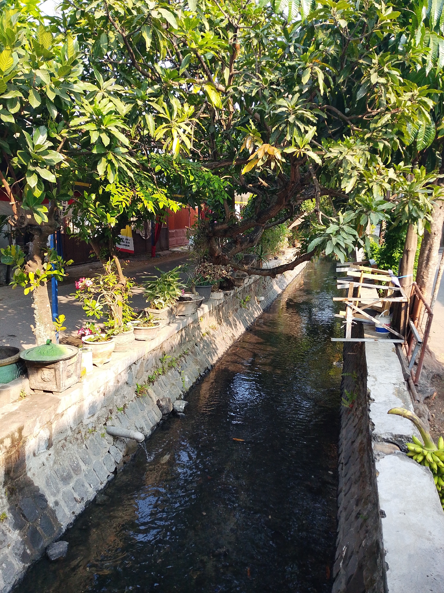 The image depicts a narrow, stone-lined canal flowing through an urban environment. Lush green foliage from overhanging trees drapes across the scene, casting shadows on the water and the canal's edges. Several potted plants, including one with pink flowers, are arranged along the top of the canal's wall. On the right side of the canal, a makeshift wooden structure is visible, along with a metal railing. A bunch of green bananas hangs from the edge of the canal on the far right. The water in the canal appears dark and slightly murky, with visible ripples on its surface. The stone construction of the canal walls suggests it is a man-made drainage or irrigation channel. The presence of trees, potted plants, and a residential-looking fence in the background indicates a populated area within a city, possibly in a tropical climate given the abundant greenery. While the exact location is not specified, the style of vegetation and construction is consistent with urban areas in Southeast Asia, such as Kediri City, Indonesia, which is known for its canals and lush tropical surroundings.
