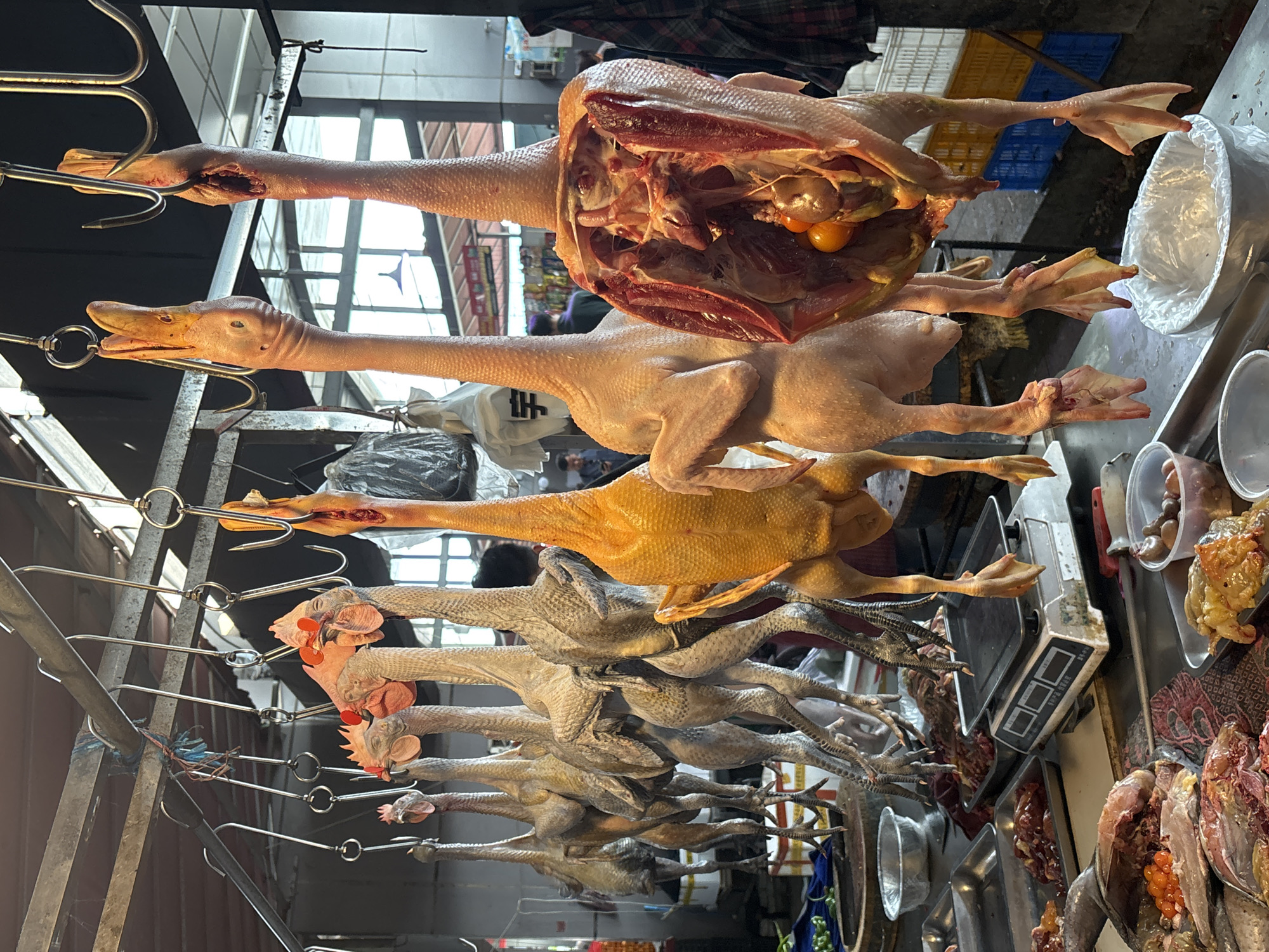 The image shows a market scene in Jiangjin, China, featuring a selection of poultry hanging on metal hooks. At the top, several ducks are displayed, one with its abdominal cavity open, revealing internal organs and eggs. Below, a row of plucked chickens hang, their necks and feet visible. To the right, a countertop displays a scale, various trays containing poultry pieces, and some small metal bowls. The background is somewhat blurred, suggesting other vendors and shoppers in the market environment.
