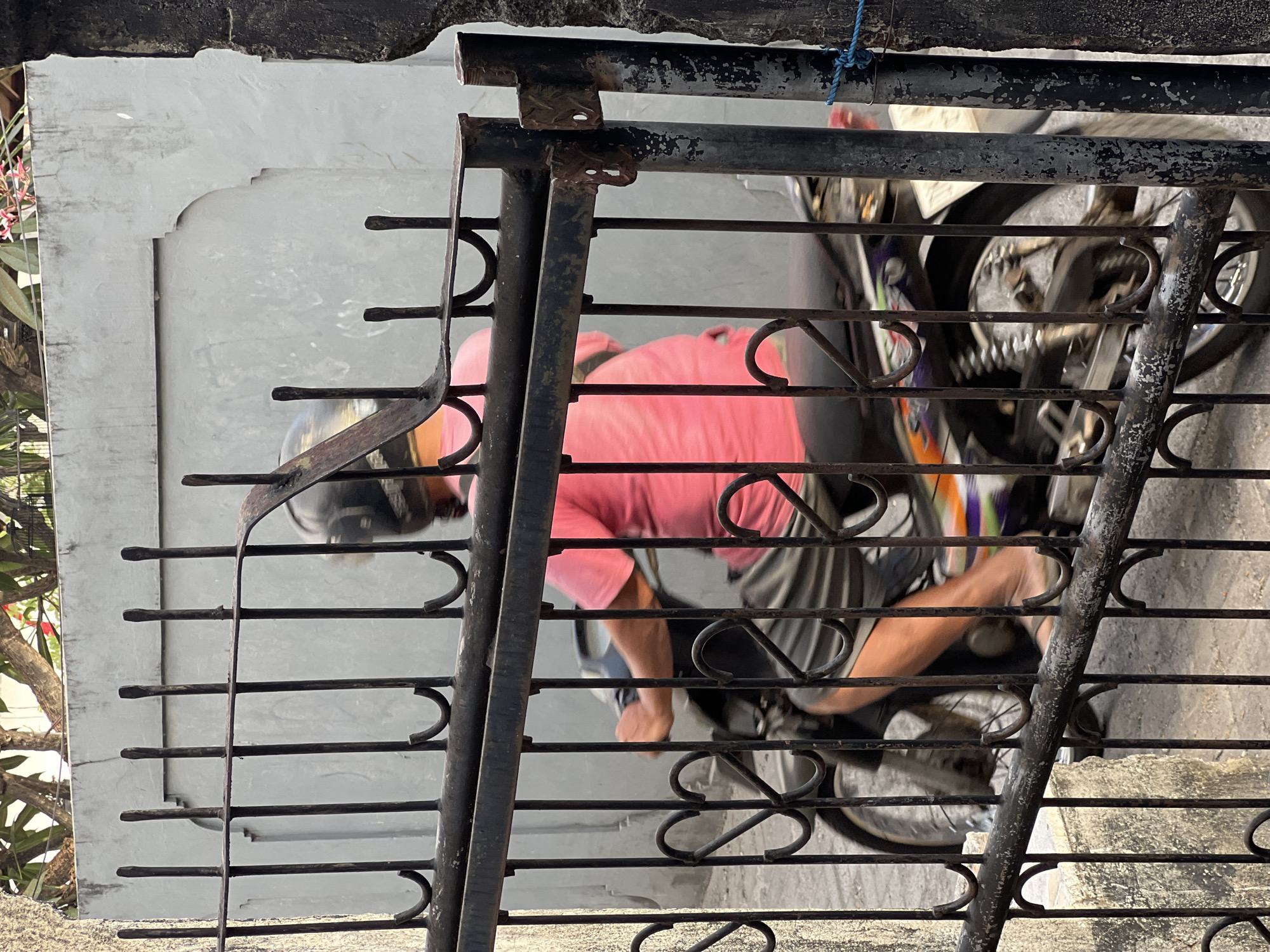 A person wearing a pink t-shirt and black shorts is riding a motorcycle and is partially obscured by a black metal fence. The person is wearing a helmet and is in motion, as indicated by the blur of the motorcycle's wheels and the motion blur of the rider. The background consists of a gray concrete wall with some texture and a tree with pink flowers. The image appears to have been taken outdoors, possibly on a street in Denpasar, Indonesia, given the architectural style and vegetation. The fence is made of vertical metal bars with decorative curved elements at the bottom. The lighting suggests it is daytime, with sunlight casting shadows.